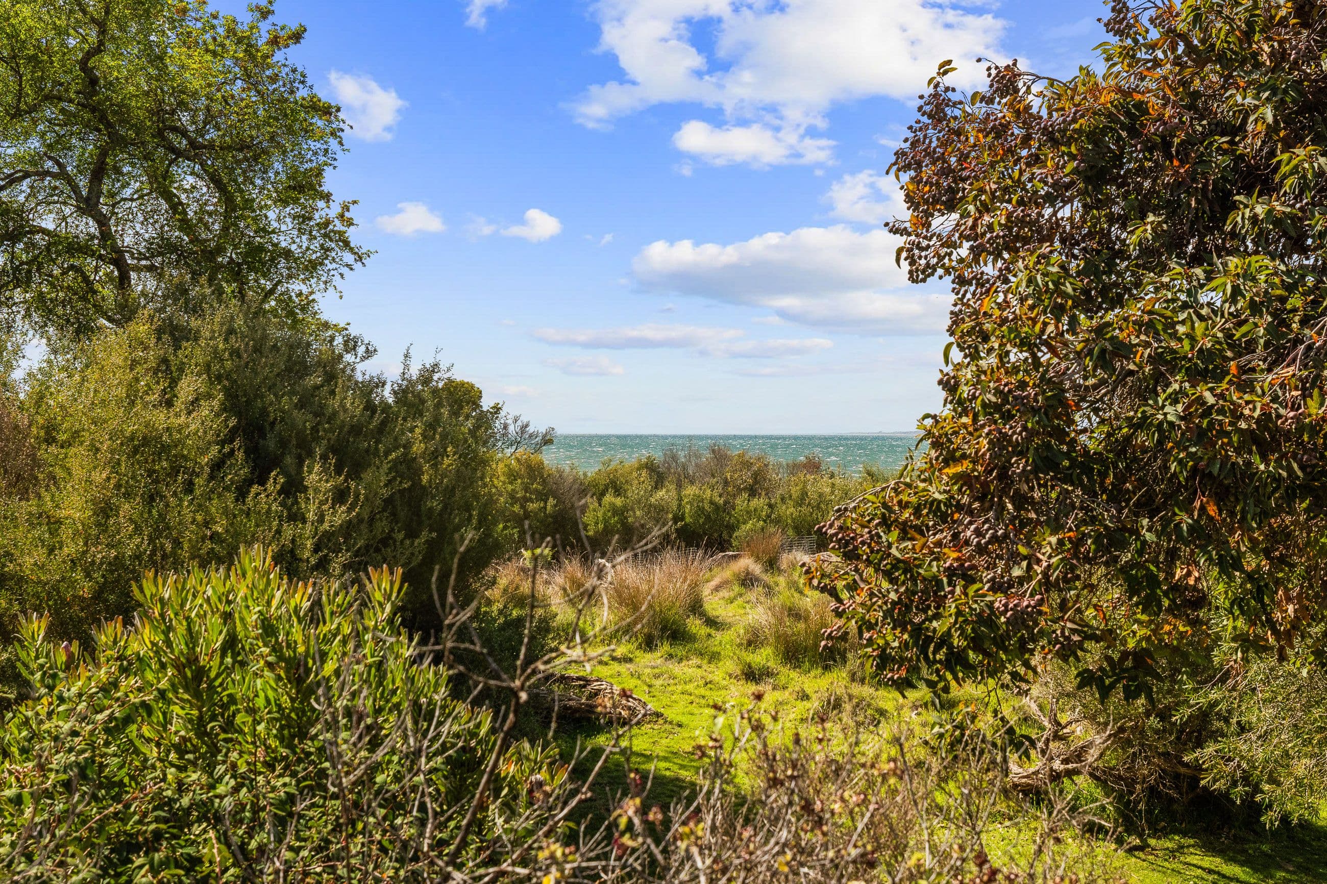 2 Mchaffie Drive, Cowes VIC 3922, Cowes - Thumbnail 2