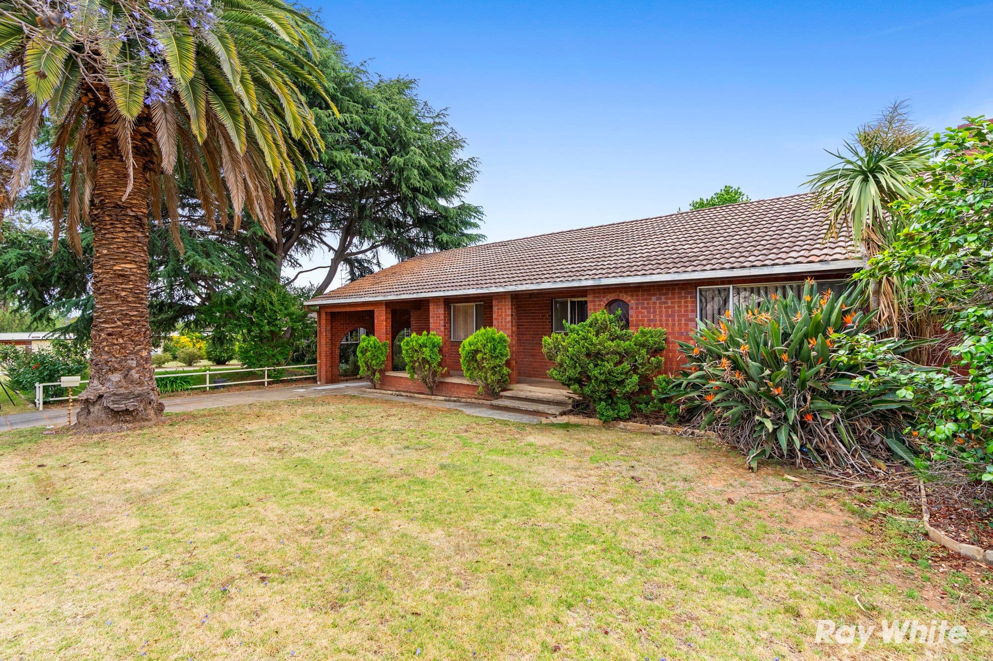 3 Moran Street, Tolland NSW 2650, Tolland - Thumbnail 2