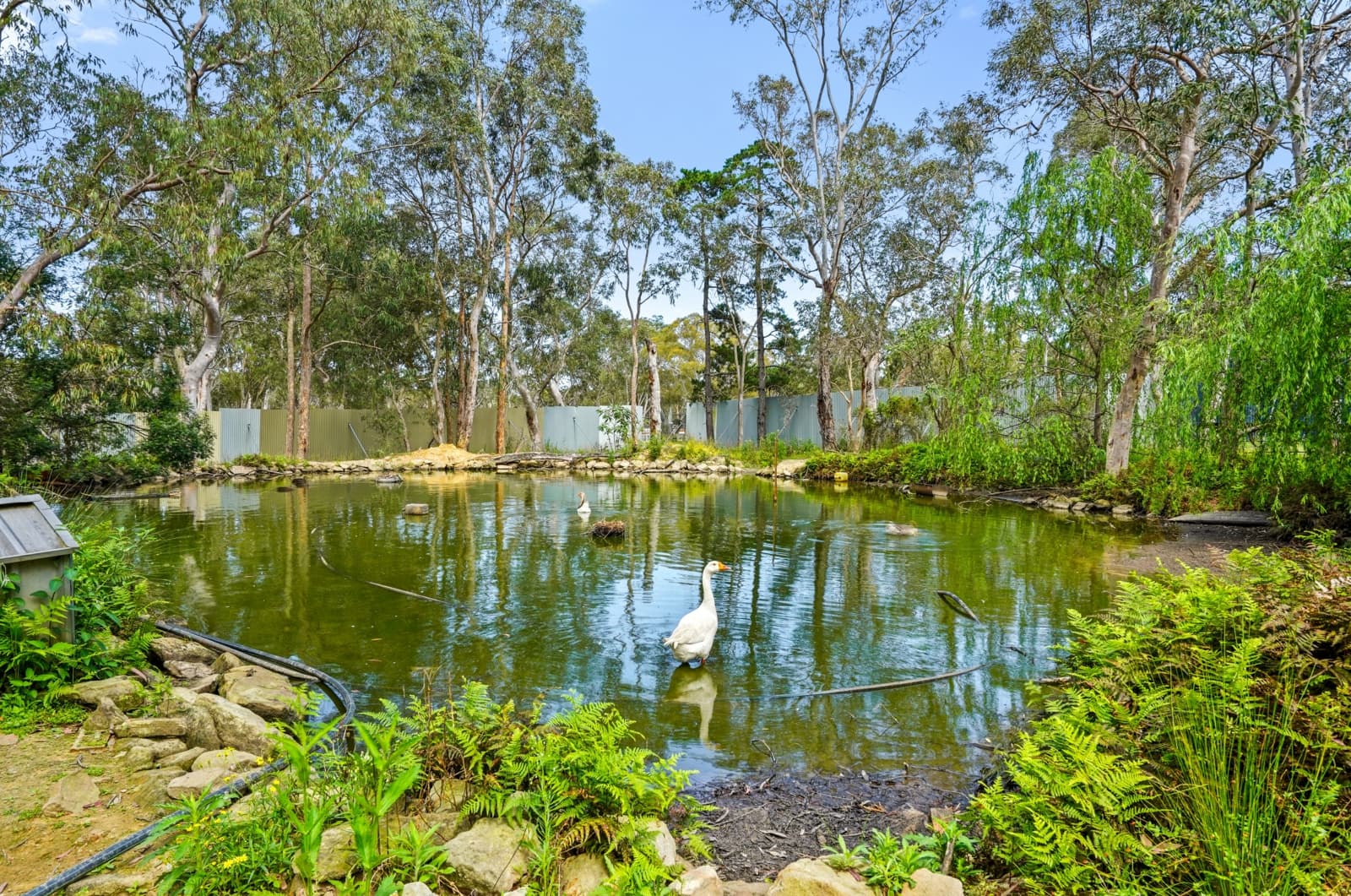 180 Stannix Park Road,Wilberforce, Wilberforce - Thumbnail 3