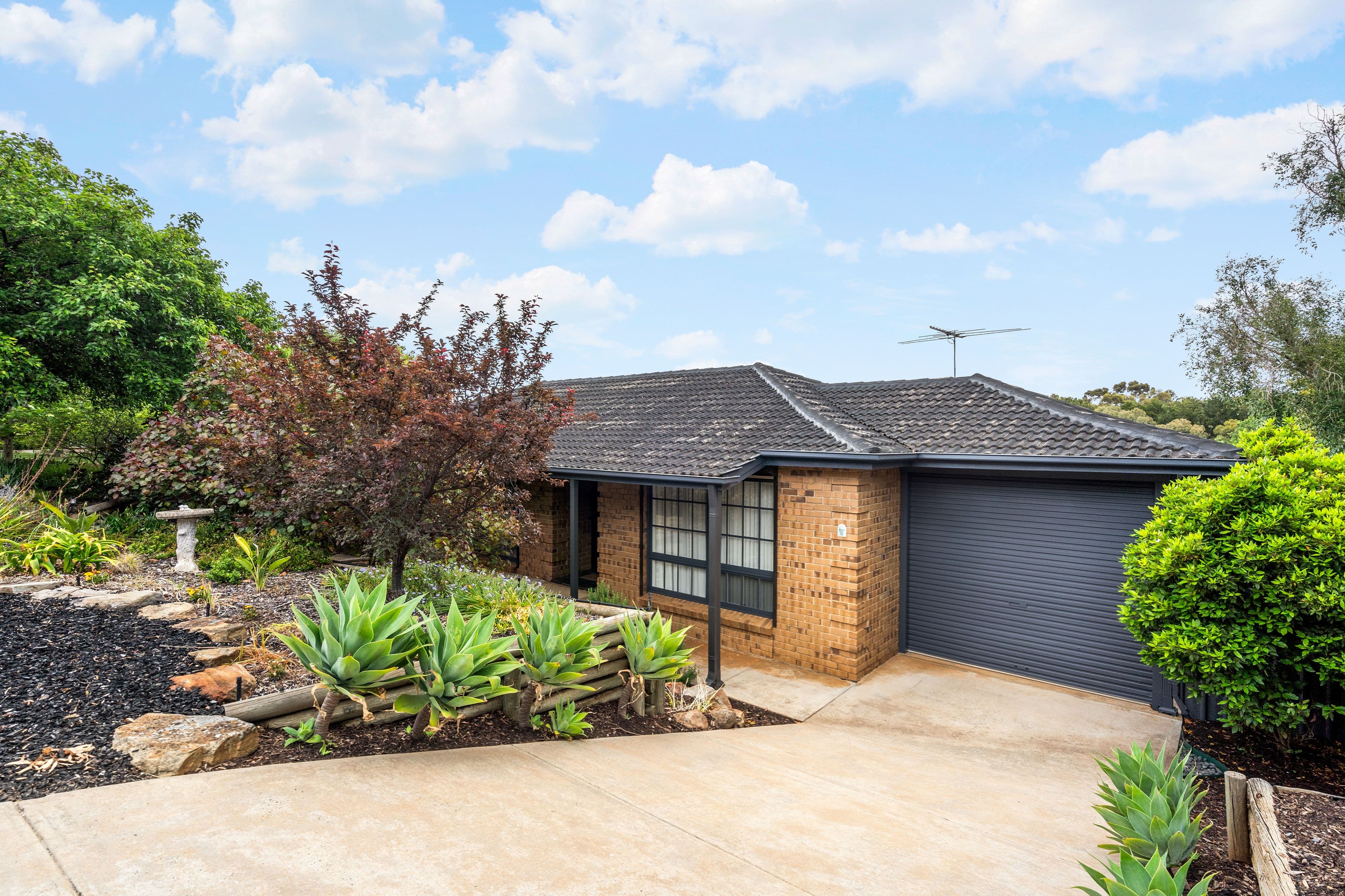 11 Creekvale Court, Wynn Vale SA 5127, Wynn Vale - Image 1
