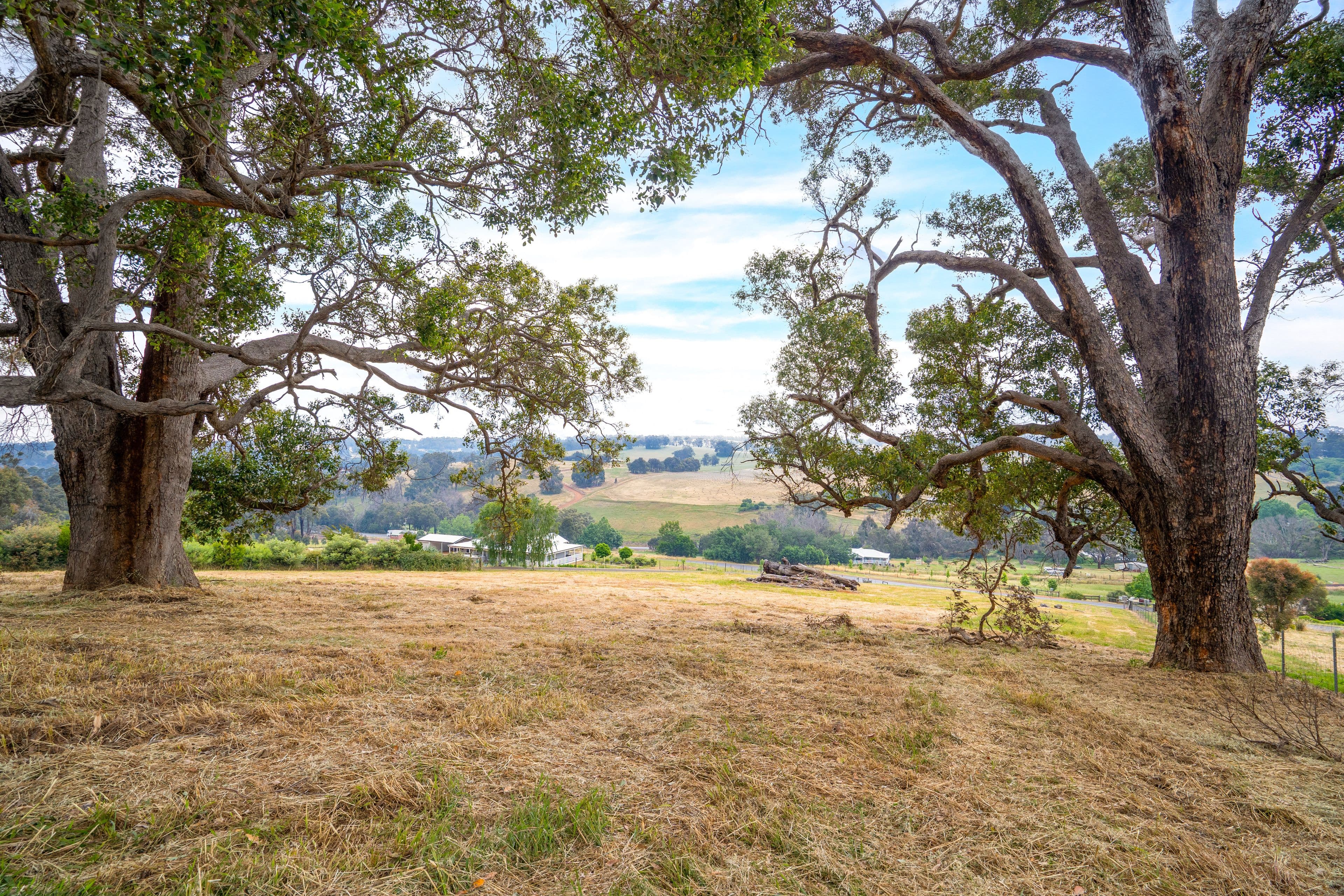 26 Sunridge Drive, Bridgetown WA 6255, Bridgetown - Thumbnail 4