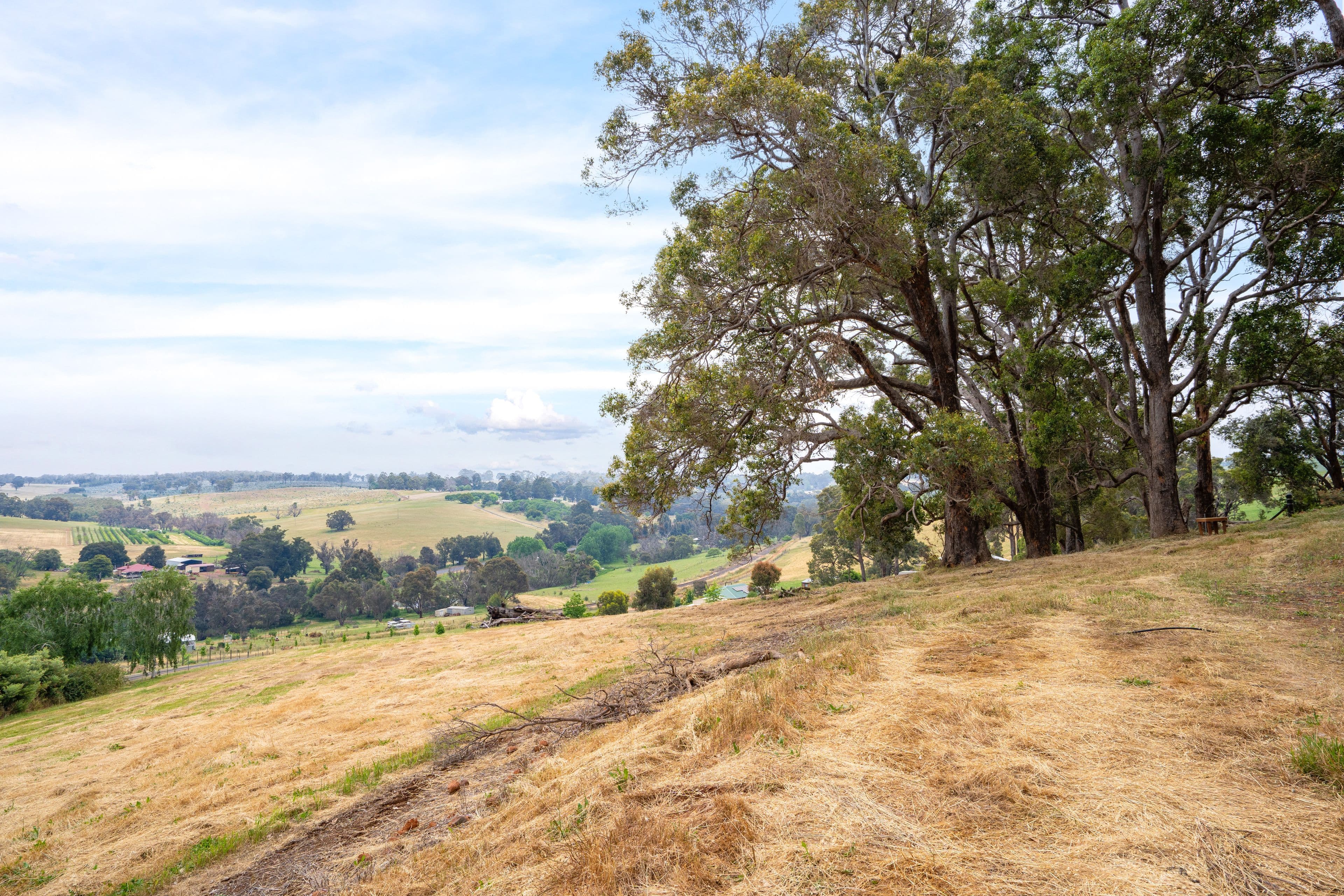 26 Sunridge Drive, Bridgetown WA 6255, Bridgetown - Thumbnail 6