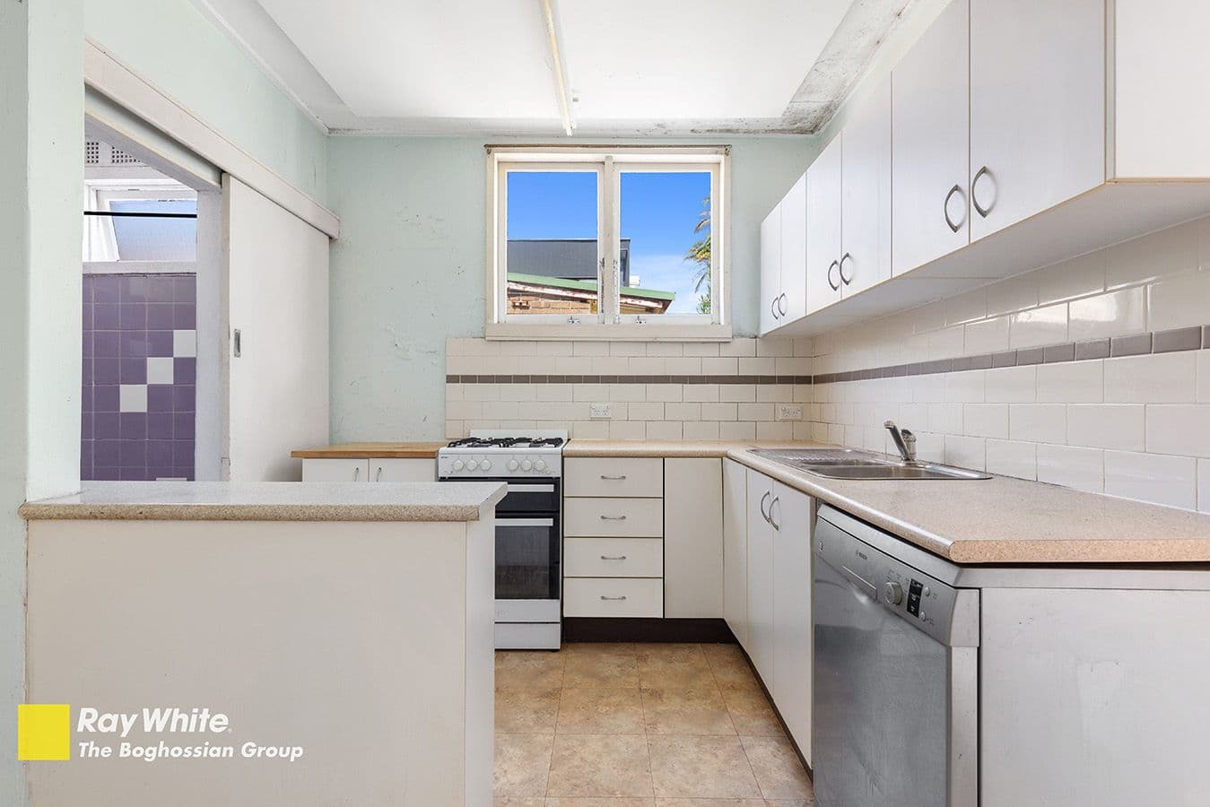 24 Tamarama Street, Tamarama NSW 2026, Tamarama - Thumbnail 4