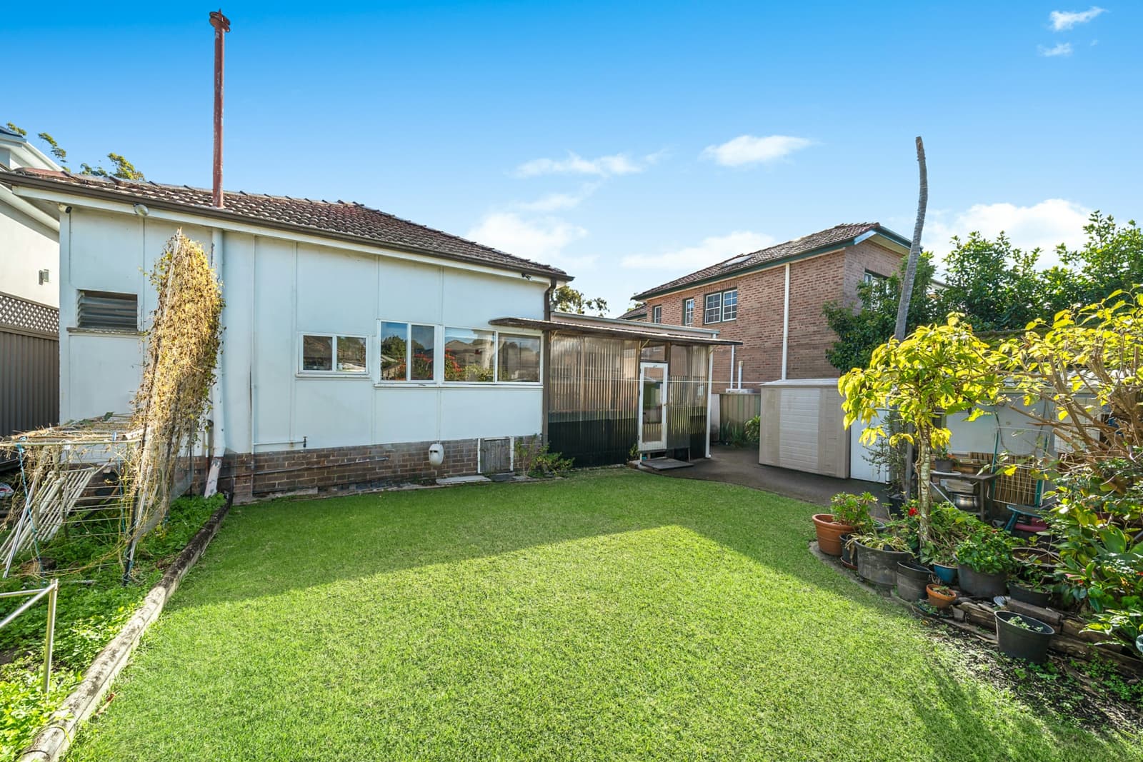 16 Telopea Avenue,Strathfield, Strathfield - Thumbnail 4