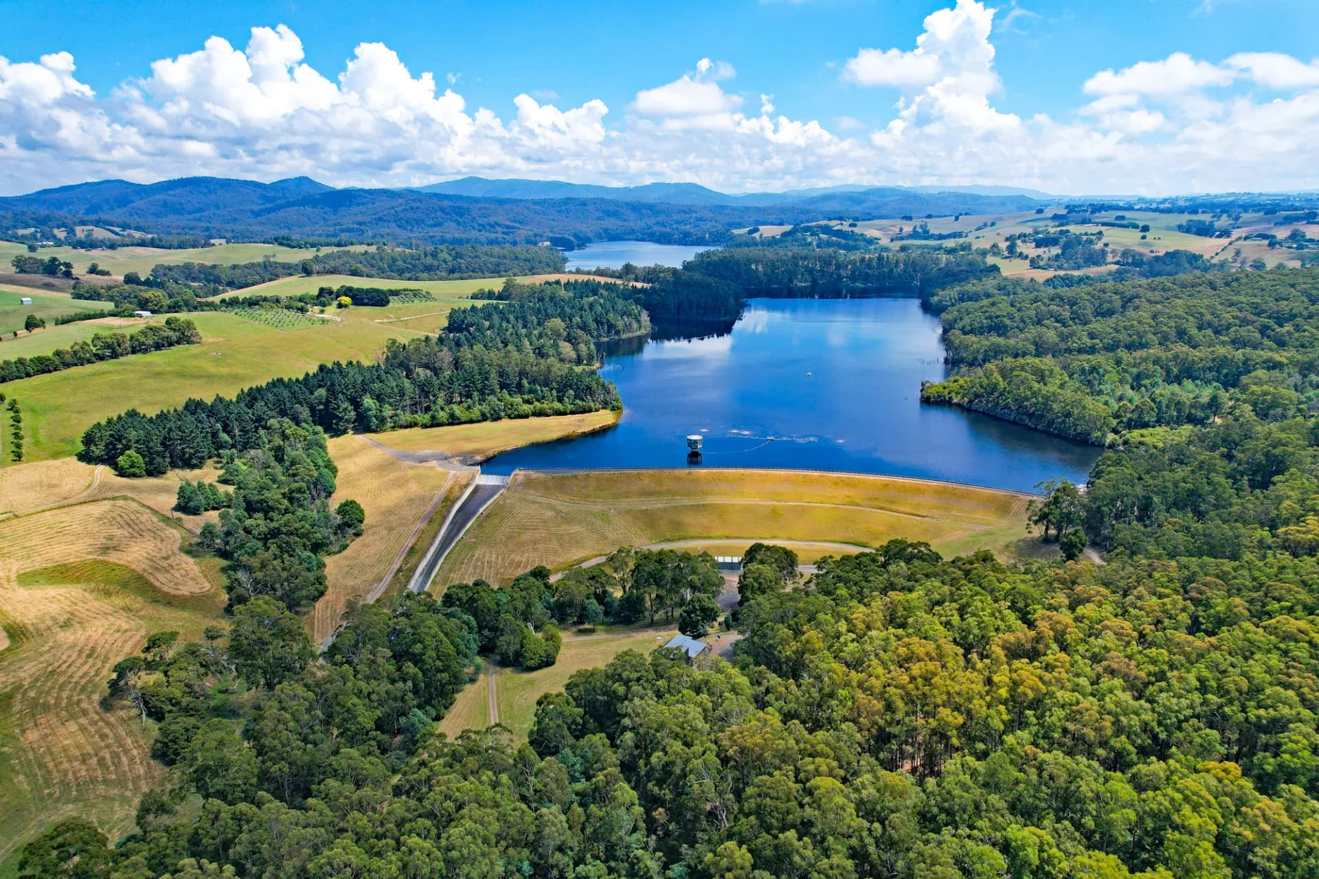 Lot 7, 309 Jindivick - Neerim South  Road, Neerim South, VIC, Neerim South - Thumbnail 5