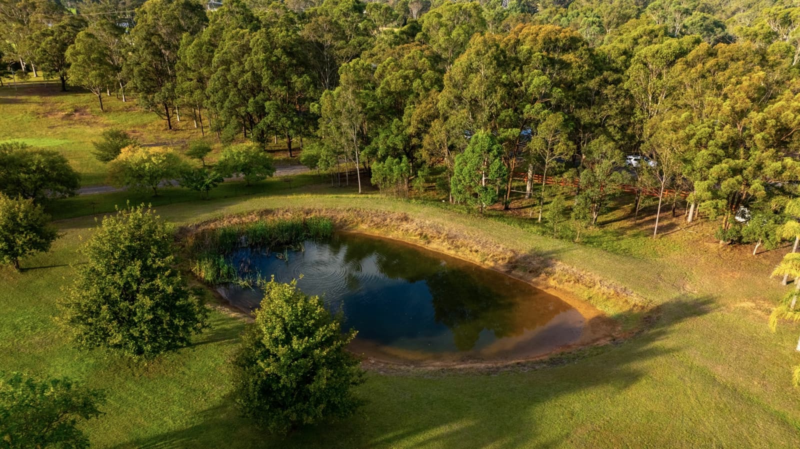 183 Coates Park Road,Cobbitty, Cobbitty - Thumbnail 8
