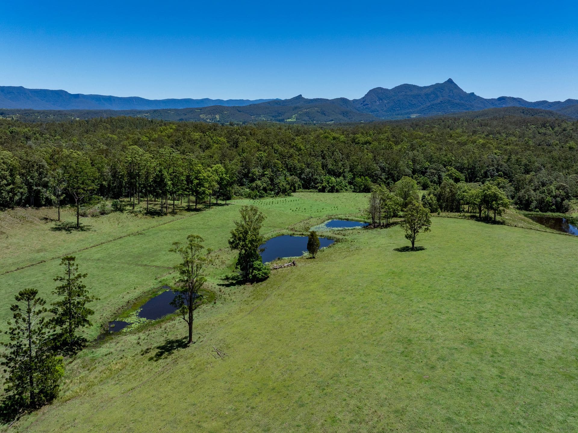 148 Pine Log Road, Doon Doon - Thumbnail 8