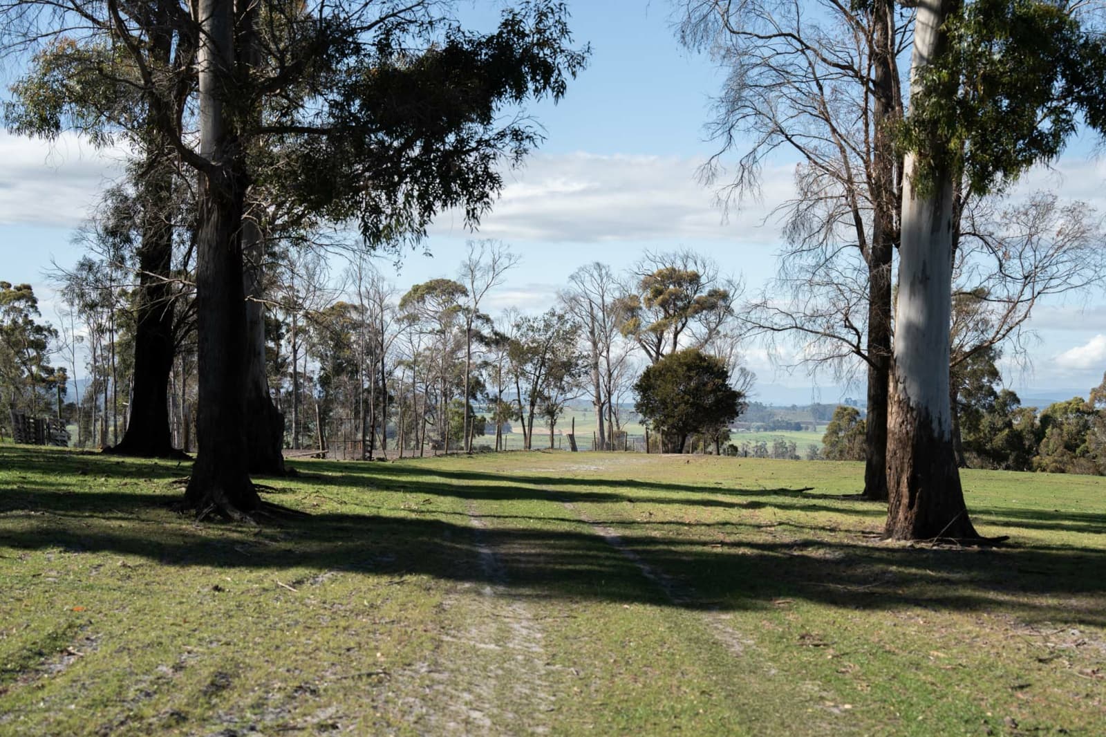 51 Annies Lane,Northdown, Northdown - Thumbnail 7