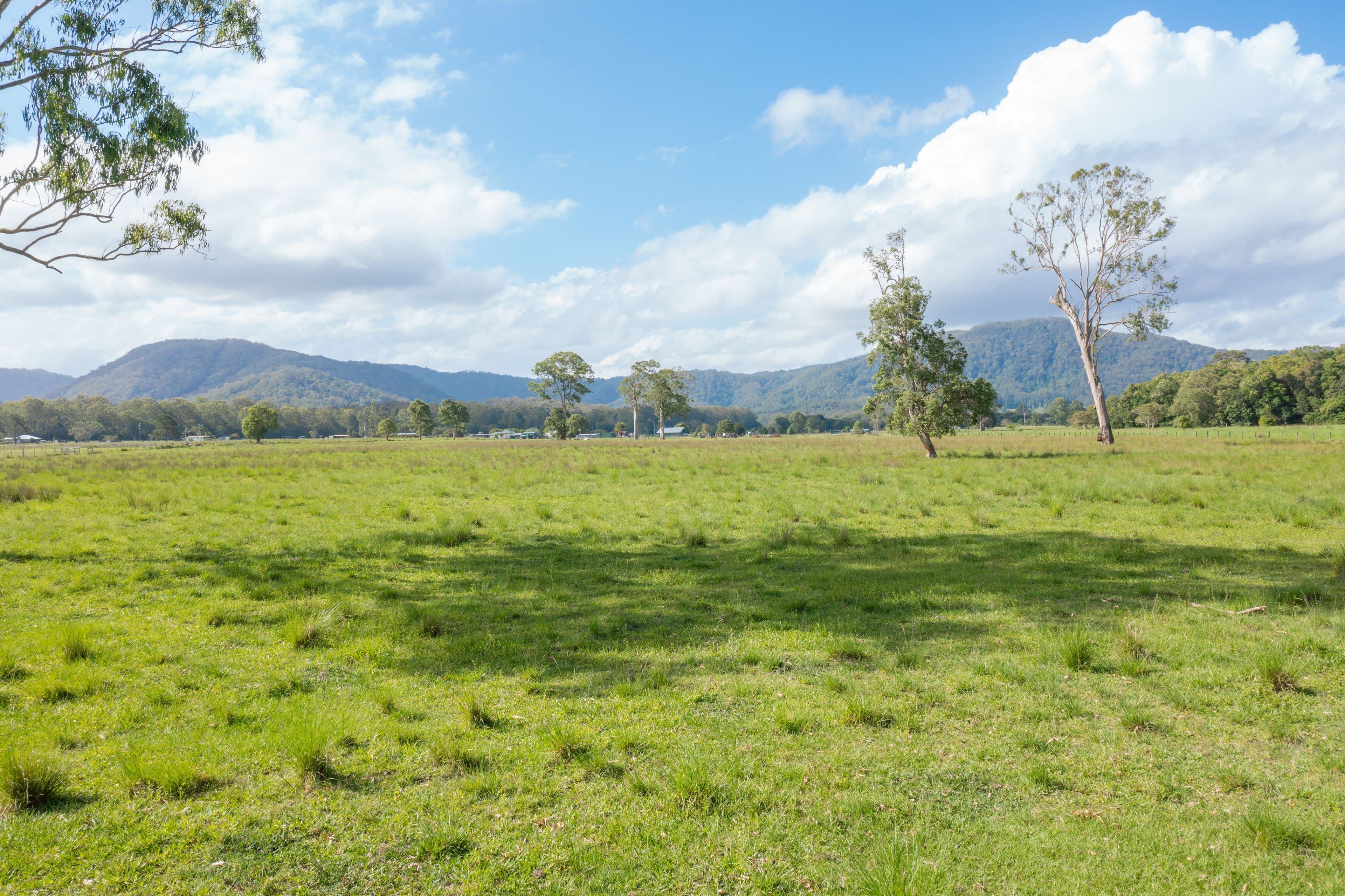 751 Kilcoy Beerwah Road, Cedarton QLD 4514, Cedarton - Thumbnail 5