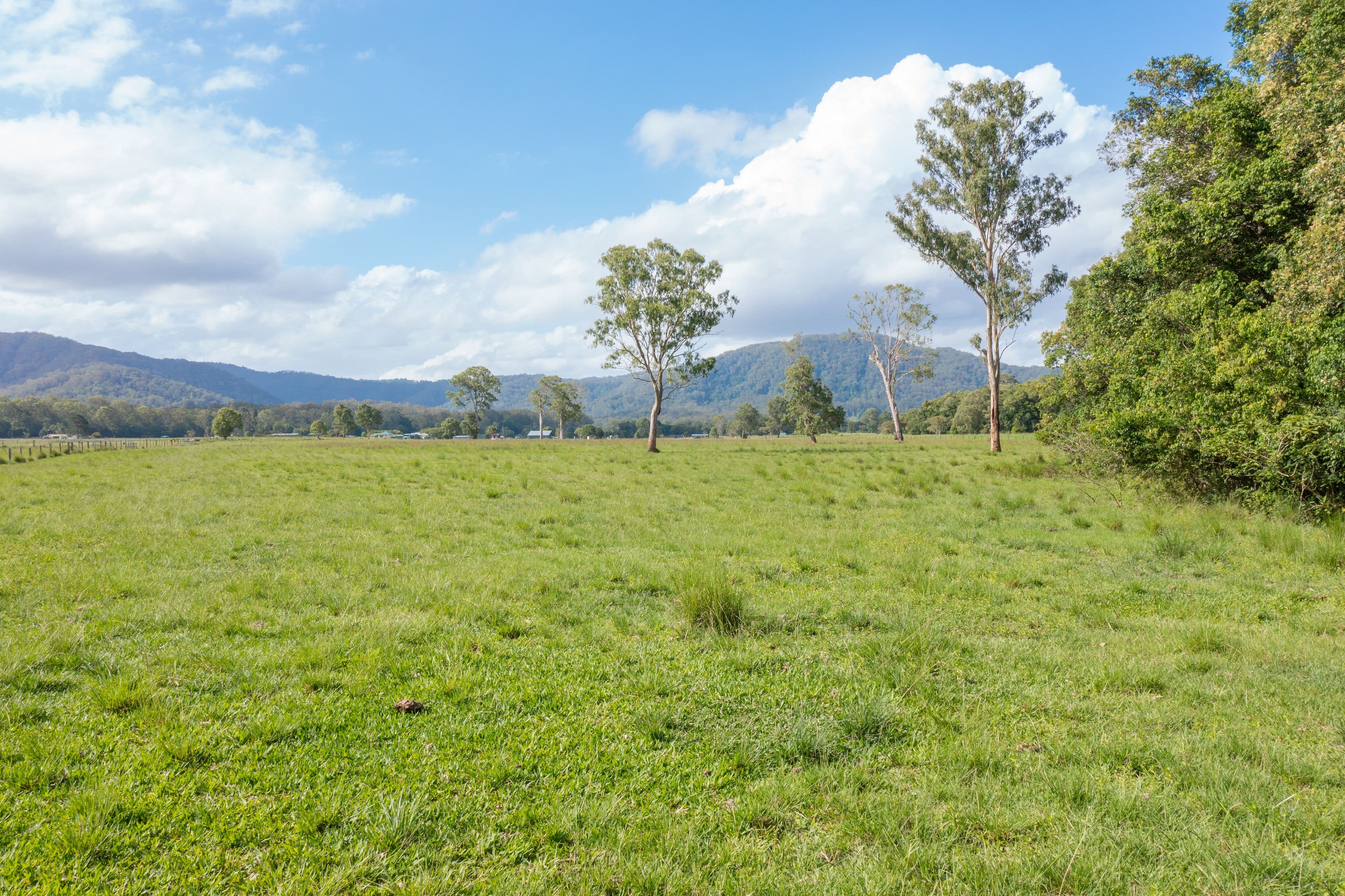 751 Kilcoy Beerwah Road, Cedarton QLD 4514, Cedarton - Thumbnail 6