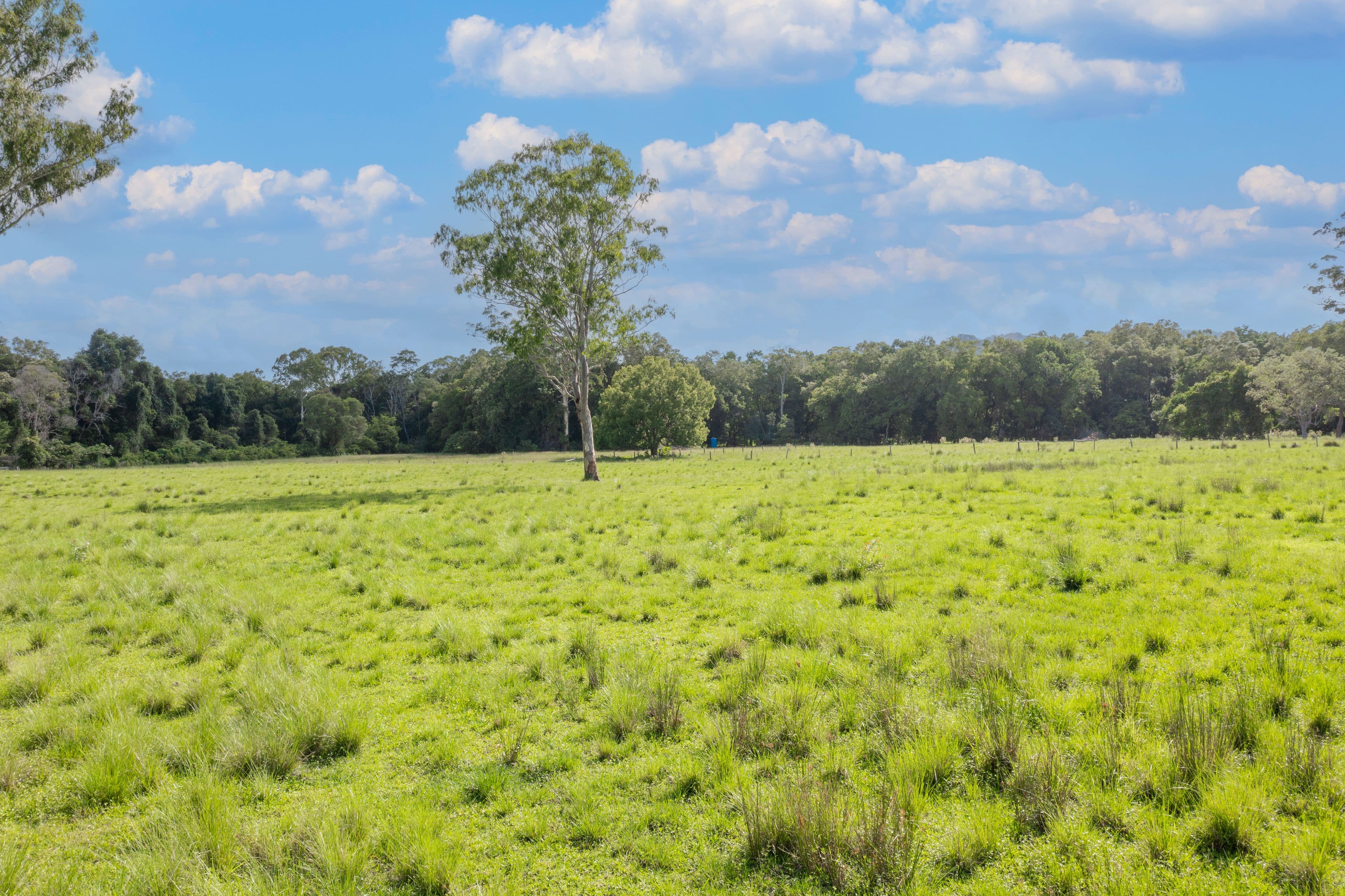 751 Kilcoy Beerwah Road, Cedarton QLD 4514, Cedarton - Thumbnail 7