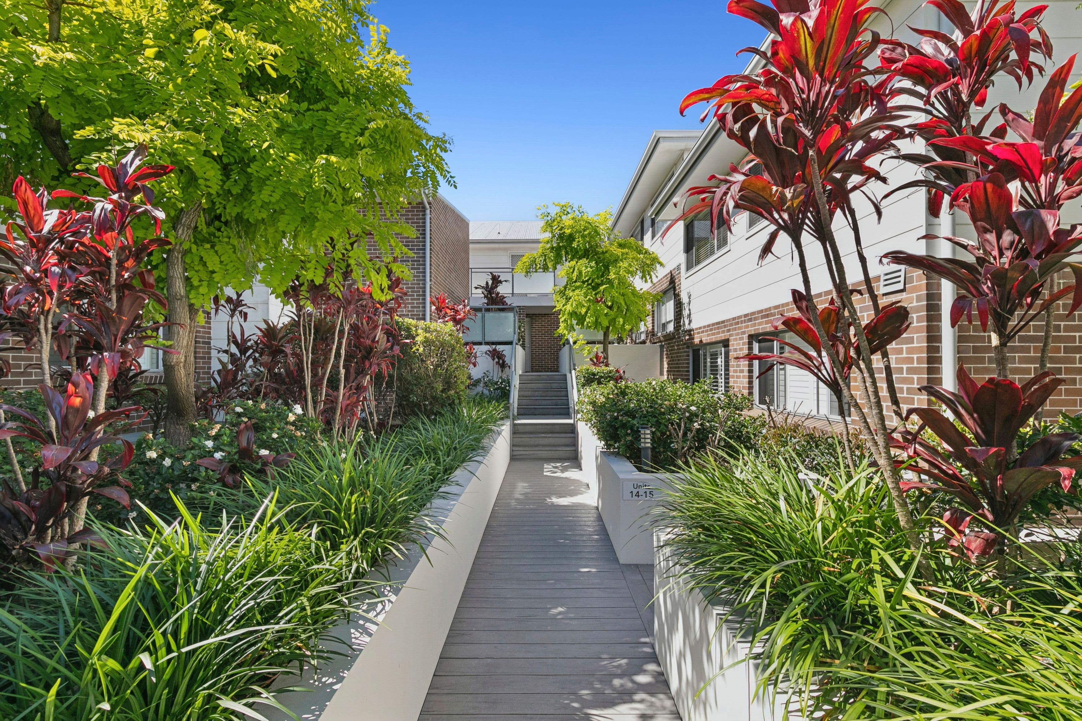 12-16 Shackel Avenue, Brookvale NSW 2100, Brookvale - Thumbnail 7