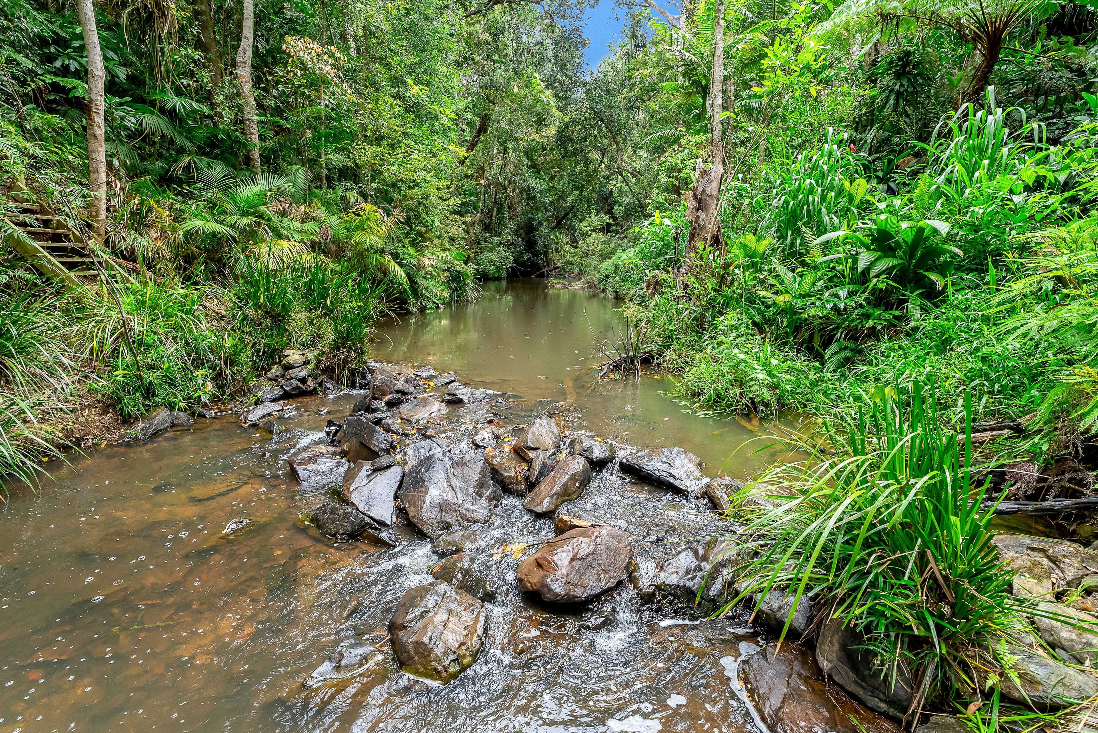 13 Butler Drive, Kuranda QLD 4881, Kuranda - Thumbnail 3