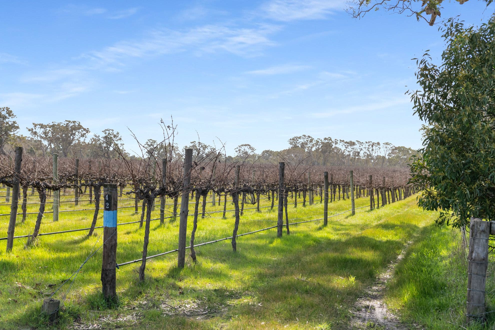 108 Dergholm Road, Penola SA 5277, Penola - Thumbnail 6