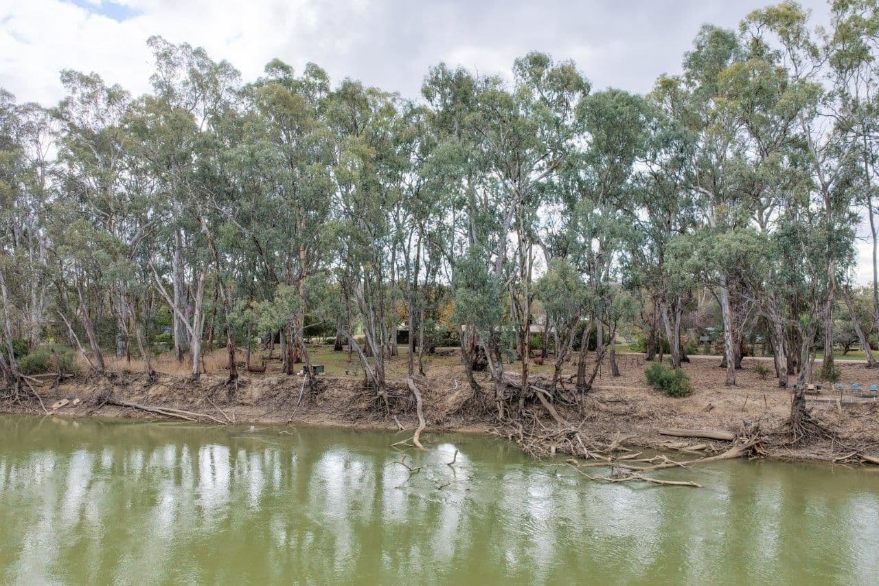 11 WHIRLPOOL Lane, Murrabit VIC 3579, Murrabit - Thumbnail 3