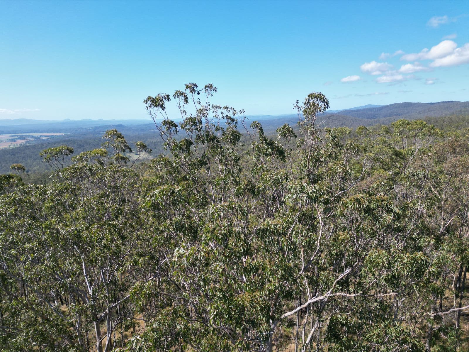17 Ogilvie Drive, Tabulam - Thumbnail 2