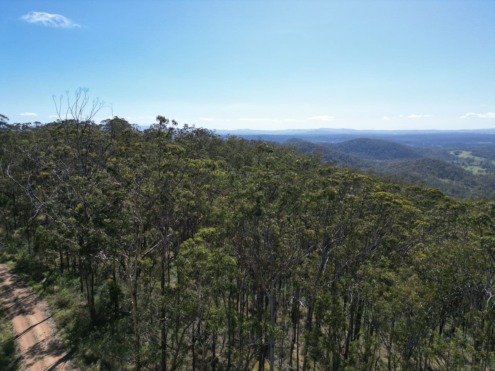 17 Ogilvie Drive, Tabulam - Thumbnail 3