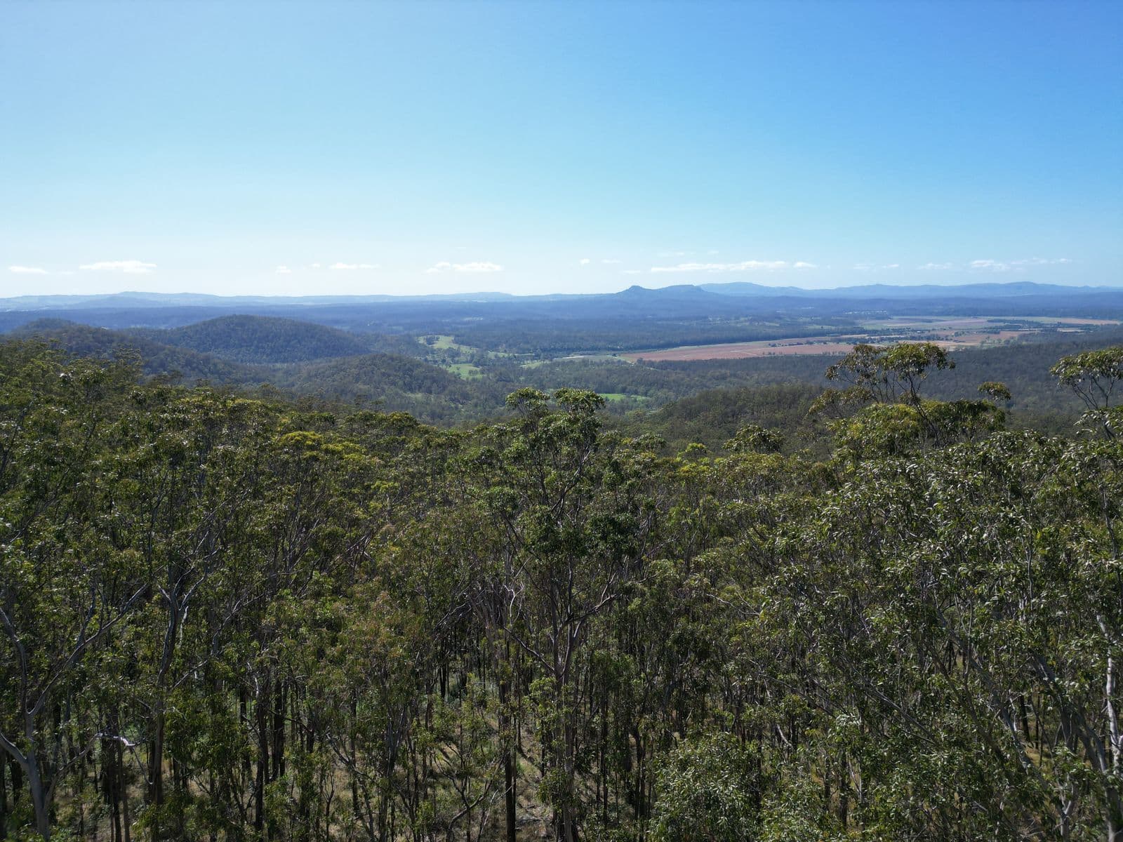 17 Ogilvie Drive, Tabulam - Thumbnail 4