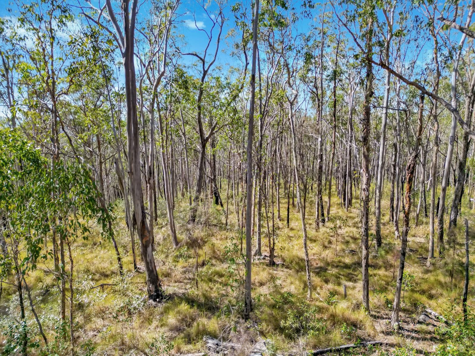17 Ogilvie Drive, Tabulam - Thumbnail 5