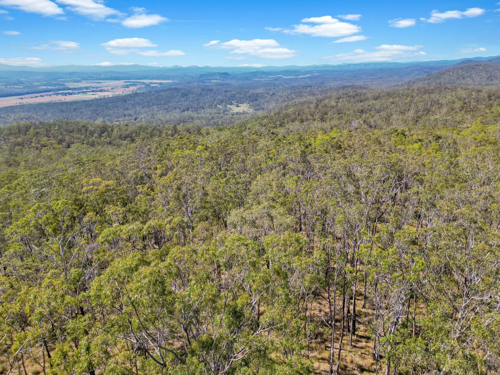 17 Ogilvie Drive, Tabulam - Thumbnail 6