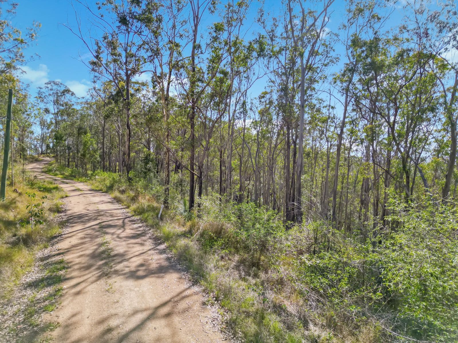 17 Ogilvie Drive, Tabulam - Thumbnail 8