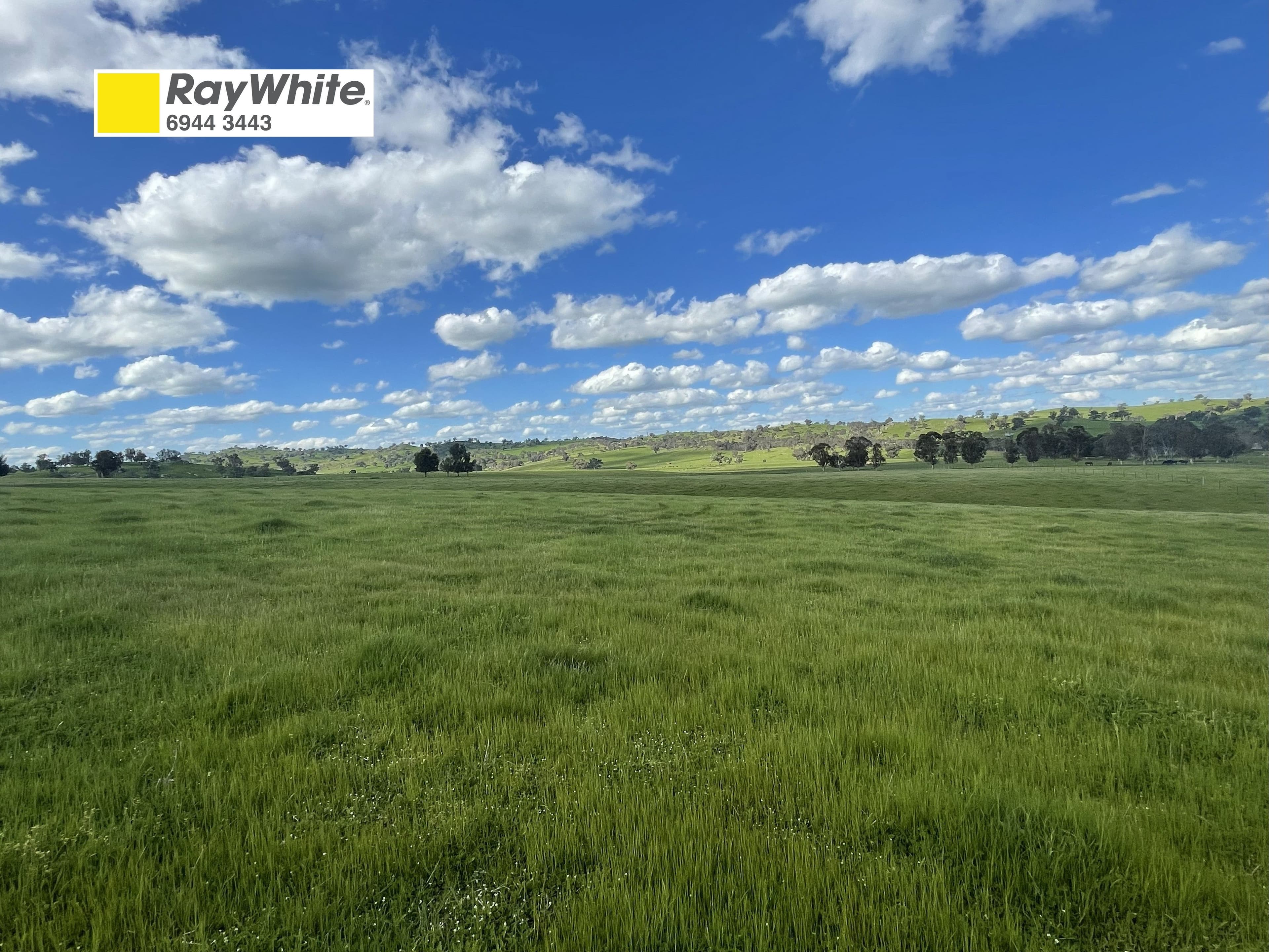Cooney's Creek Road, Jugiong NSW 2726, Jugiong - Image 1