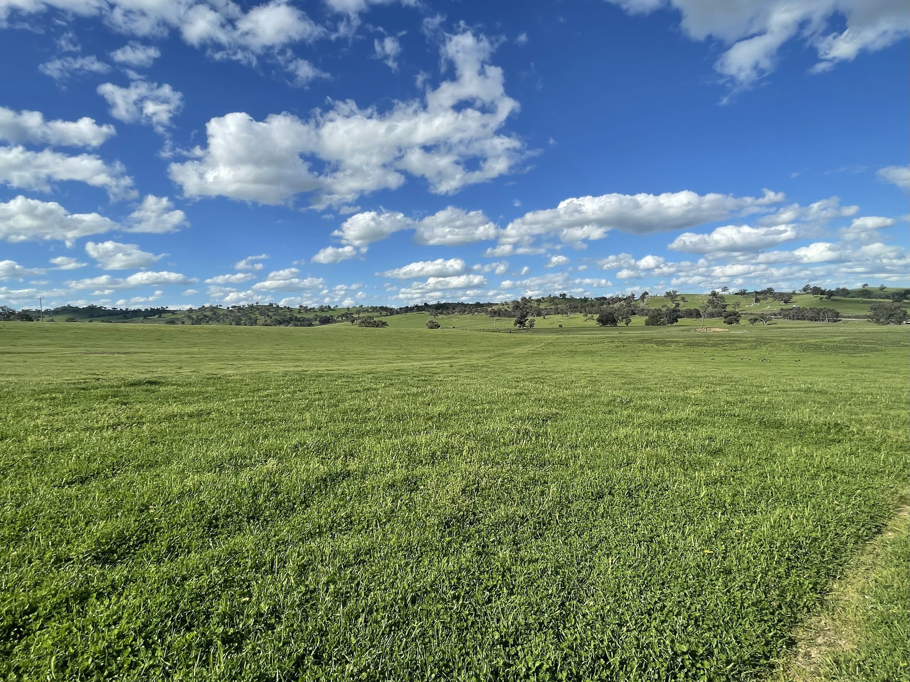 Cooney's Creek Road, Jugiong NSW 2726, Jugiong - Thumbnail 5