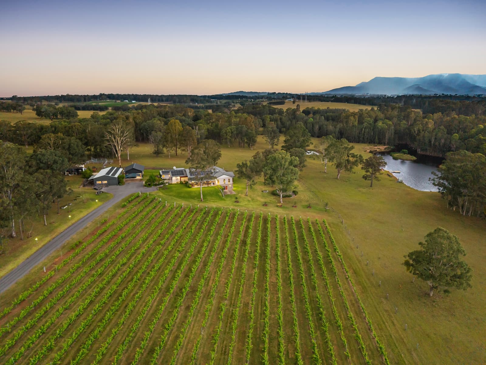 414 Deasys Road,Pokolbin, Pokolbin - Thumbnail 2