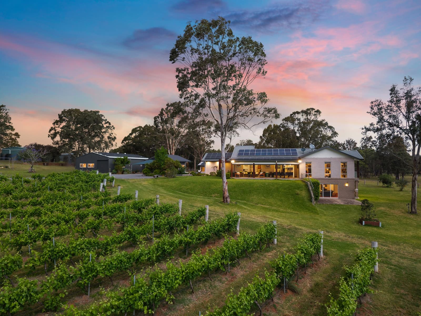 414 Deasys Road,Pokolbin, Pokolbin - Thumbnail 4
