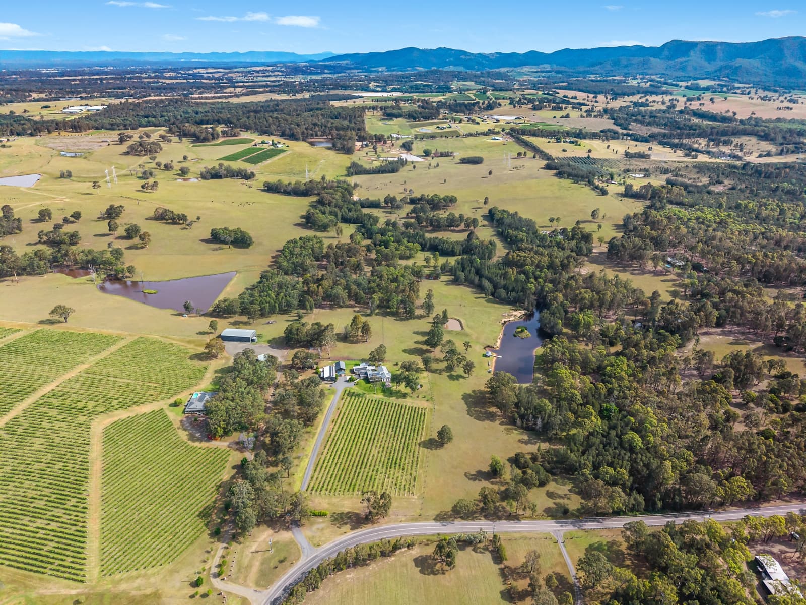 414 Deasys Road,Pokolbin, Pokolbin - Thumbnail 5