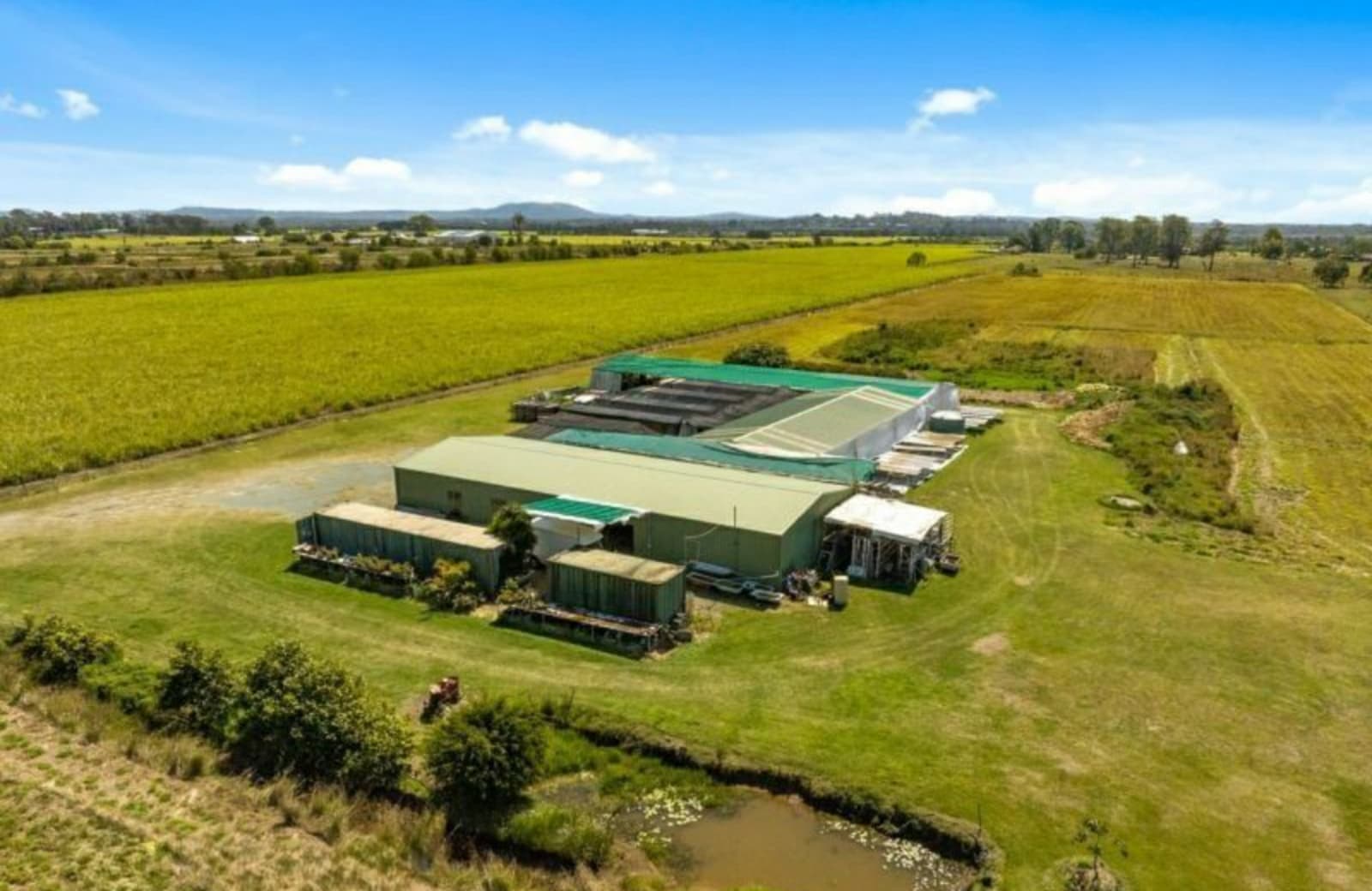 113 Zipfs Road,Alberton, Alberton - Thumbnail 5