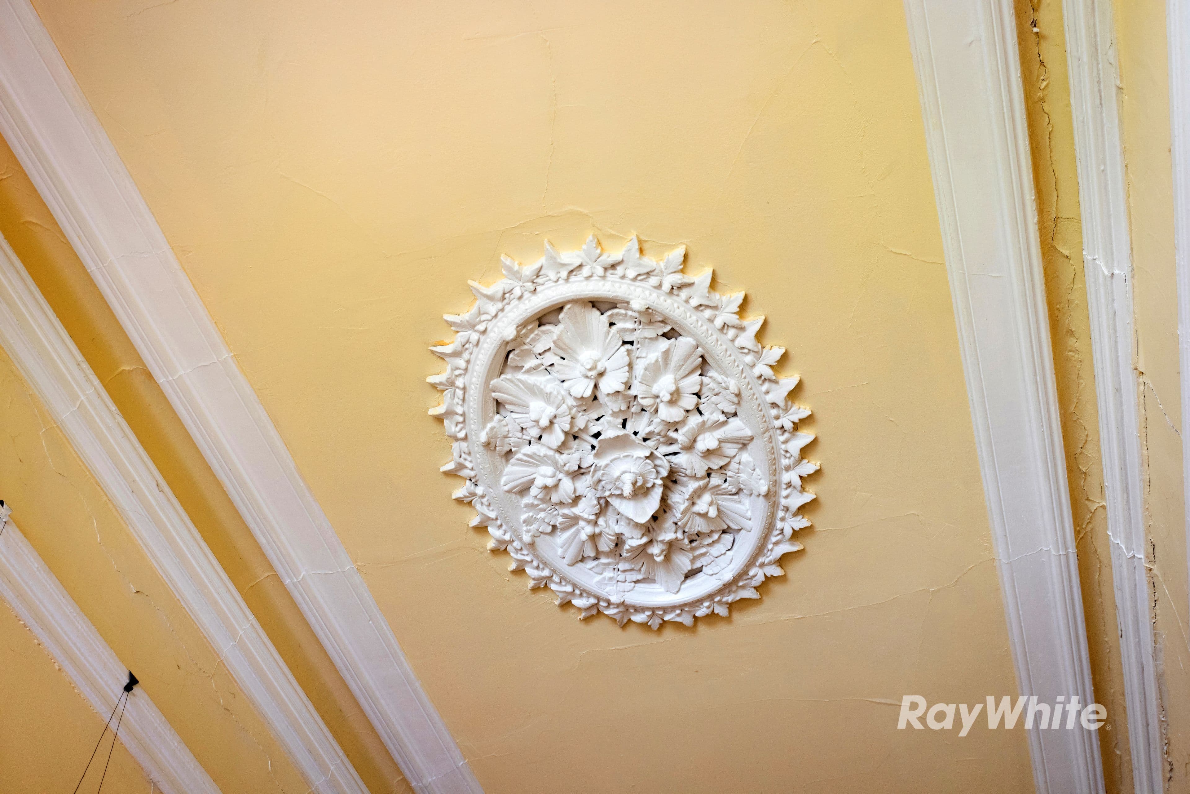 33 William Street, Balaclava VIC 3183, Balaclava - Thumbnail 6