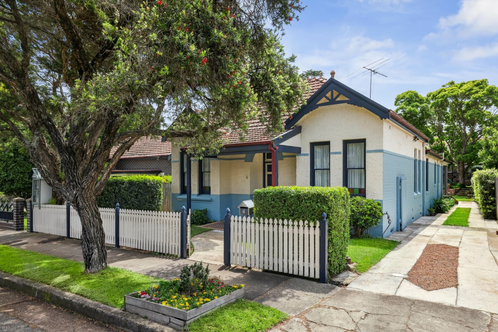 4 Pyrmont Street,Ashfield, Ashfield - Thumbnail 7
