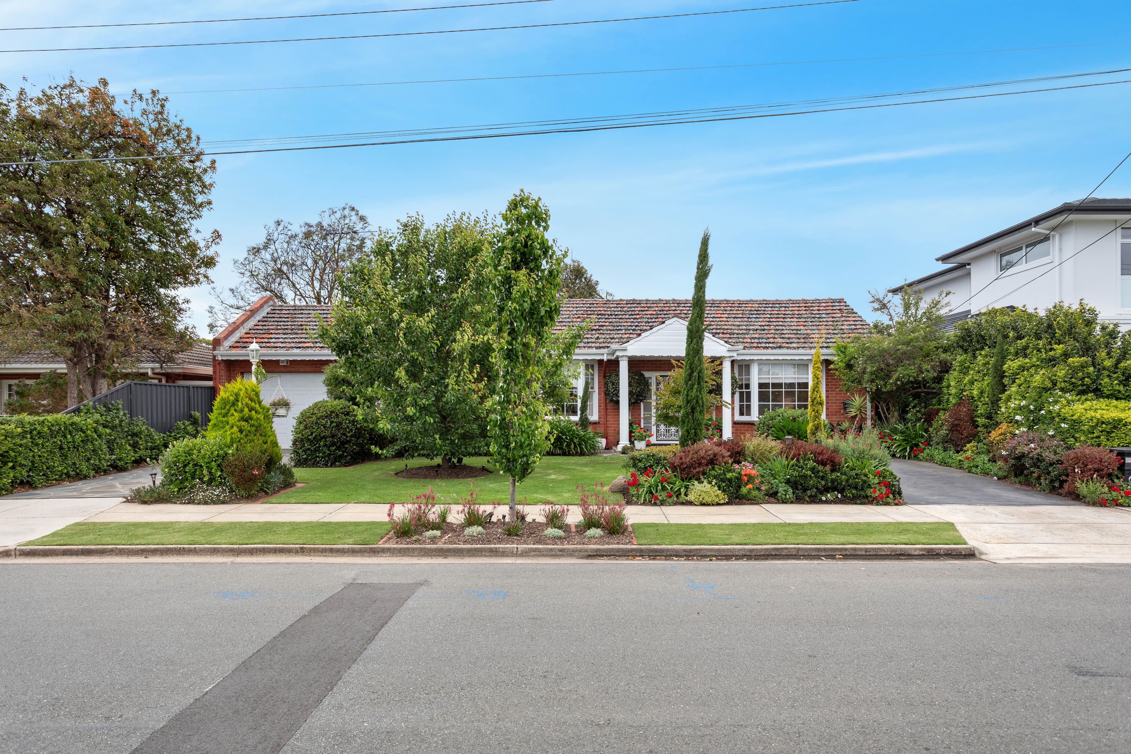 25 Darwin Street, Lockleys SA 5032, Lockleys - Image 1