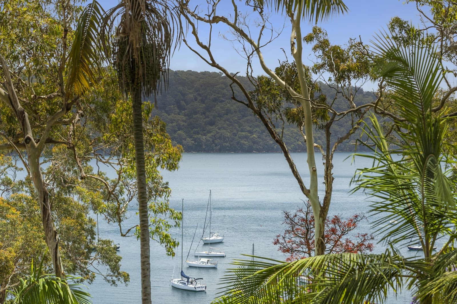 1B Paradise Avenue,Avalon Beach, Avalon Beach - Thumbnail 5