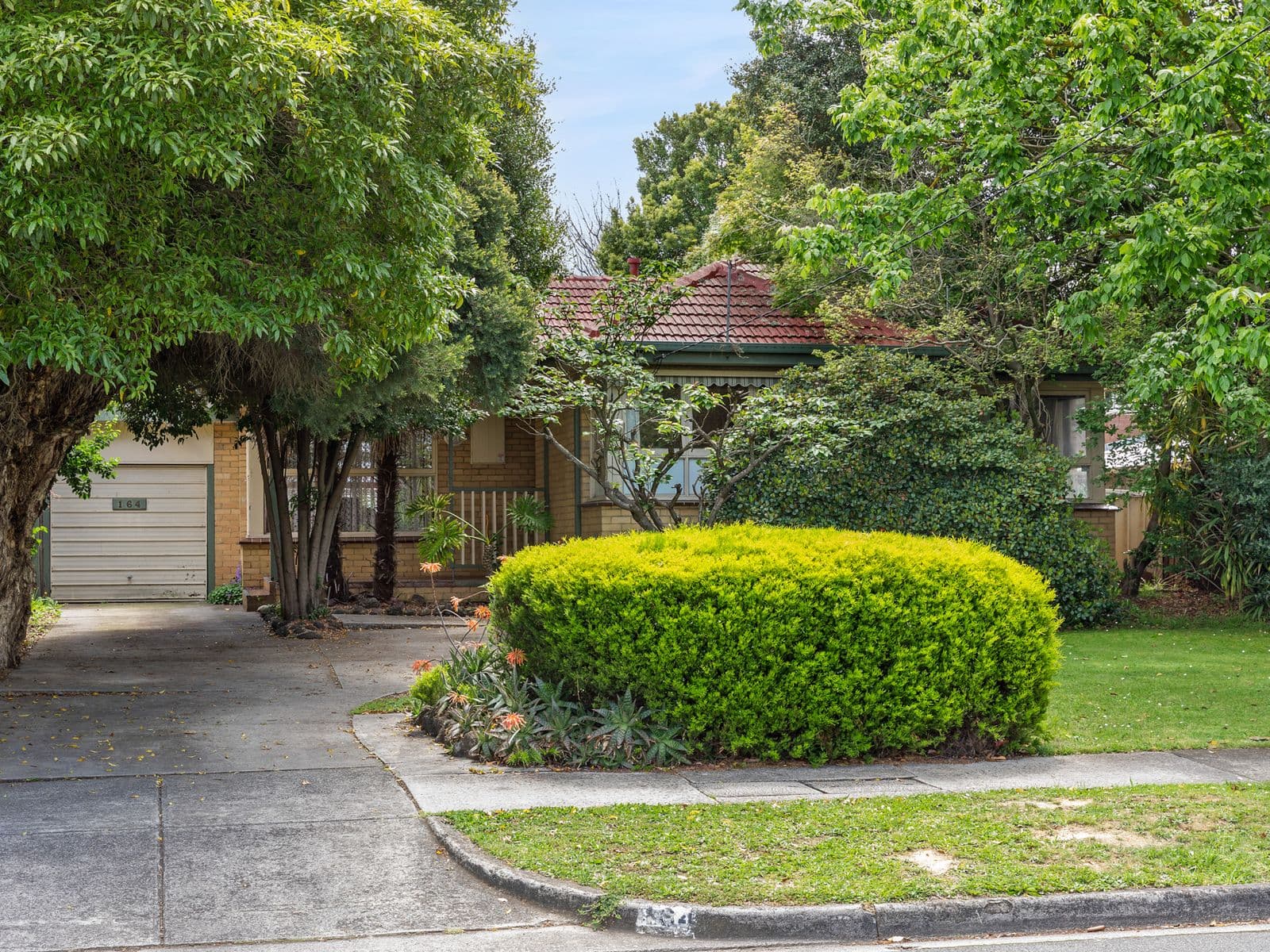 164 Holland Road, Blackburn South - Image 1