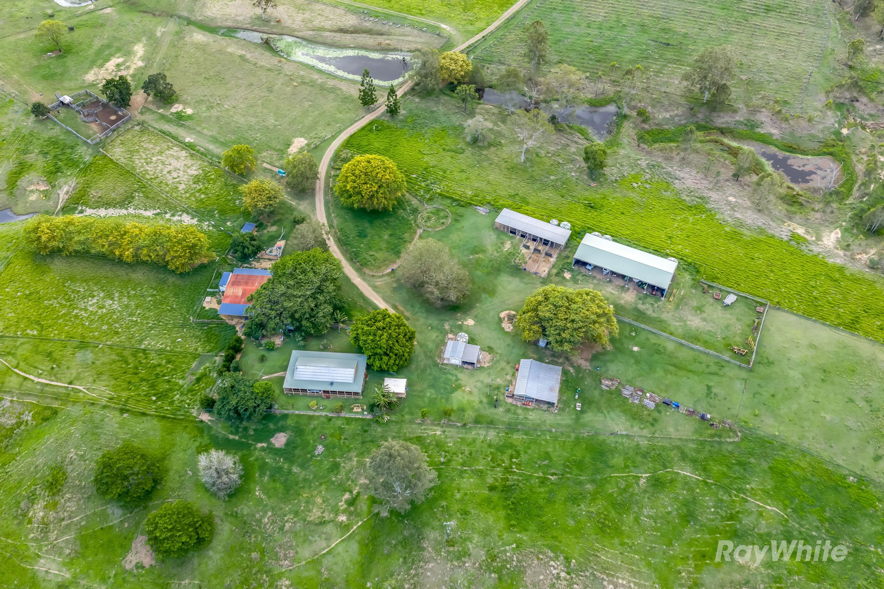 595 Walla Road, Morganville - Thumbnail 2