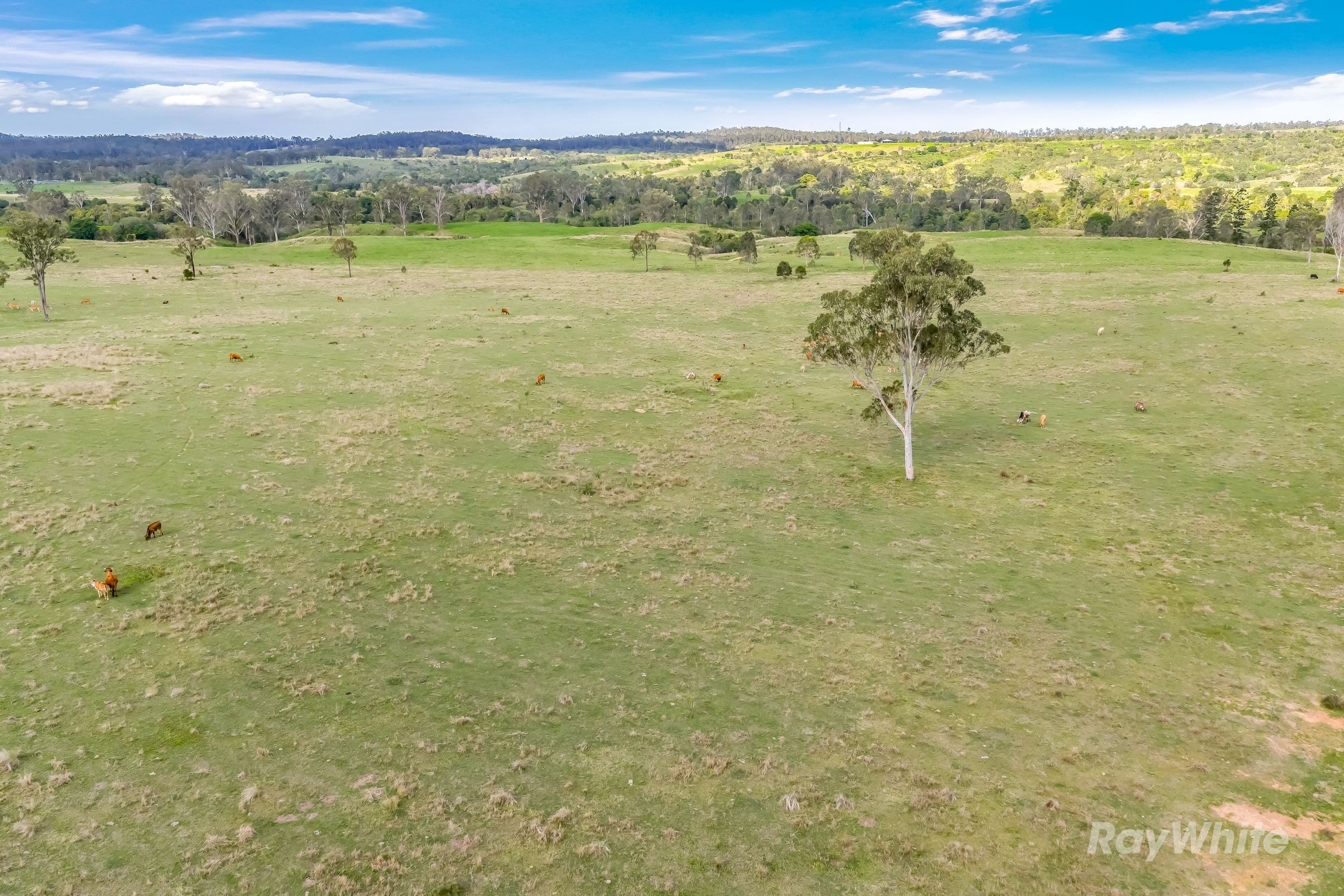 595 Walla Road, Morganville - Thumbnail 8