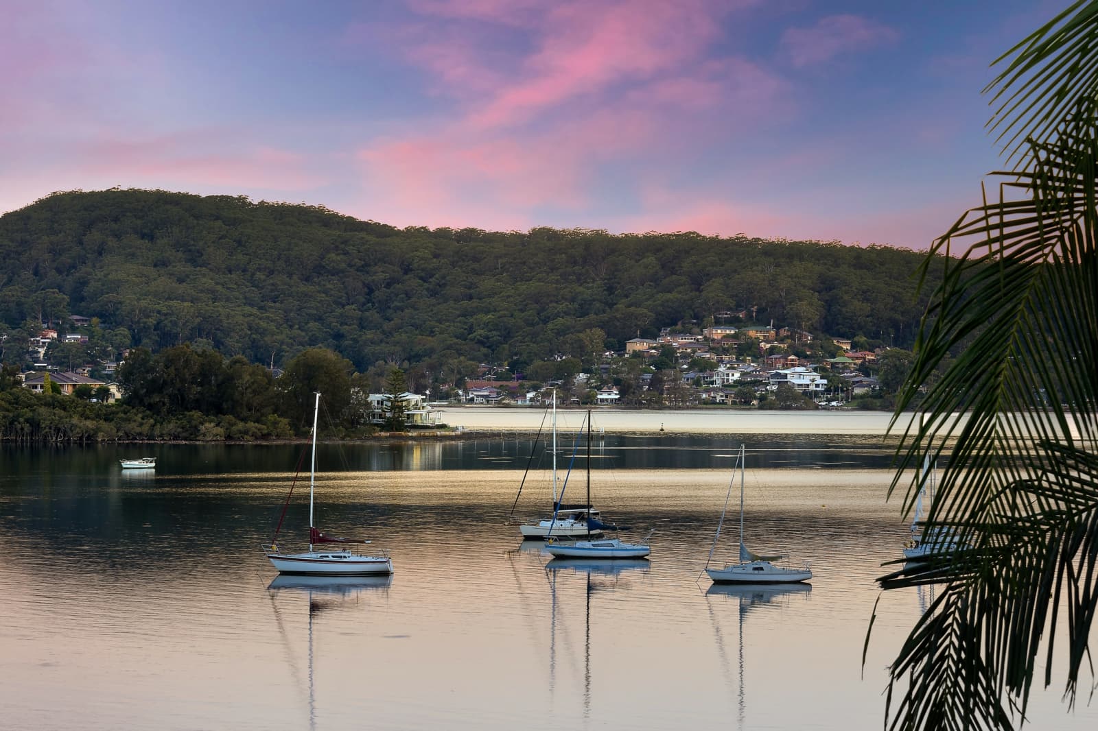 137A Albany Street,Point Frederick, Point Frederick - Thumbnail 3