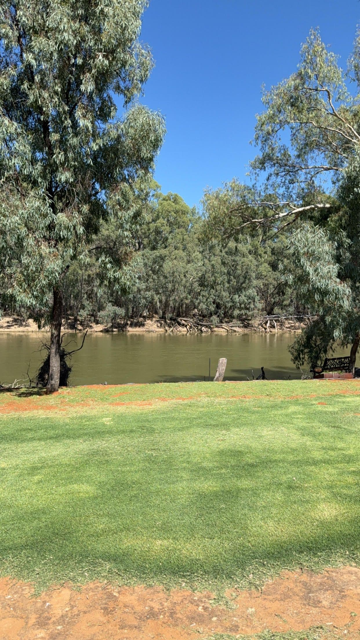 22 Riverview Drive, Barham NSW 2732, Barham - Thumbnail 4