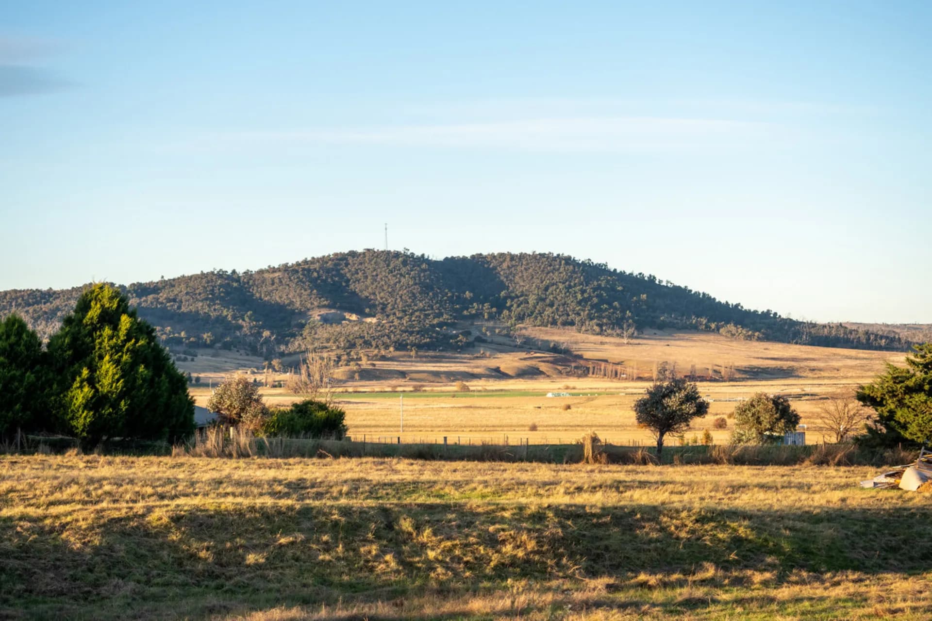 6 Biilmann Close, Berridale, NSW, Berridale - Thumbnail 7
