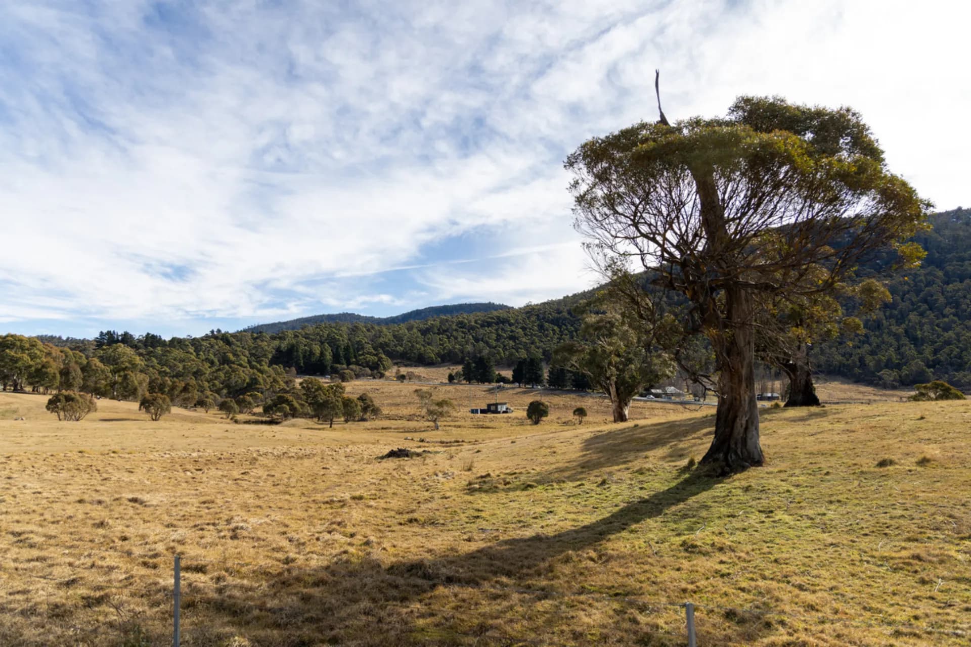 84 Wollondibby Road, Crackenback - Thumbnail 7