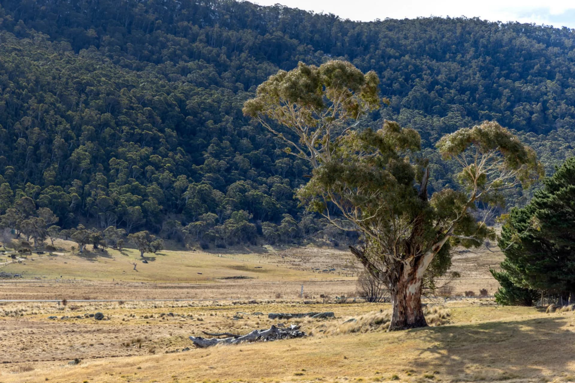 84 Wollondibby Road, Crackenback - Thumbnail 8
