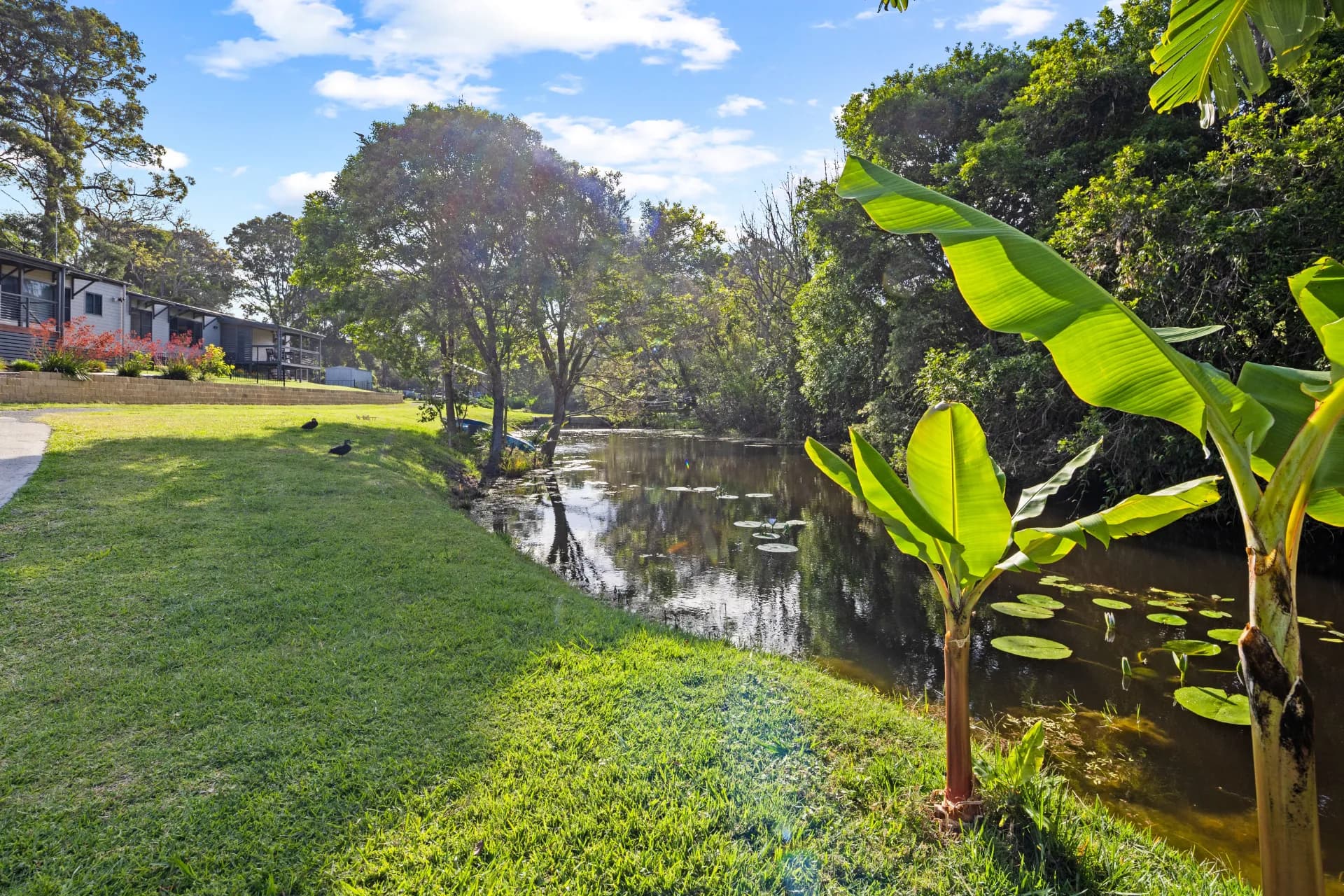 62-70 West Street, Nambucca Heads., Nambucca Heads - Thumbnail 4
