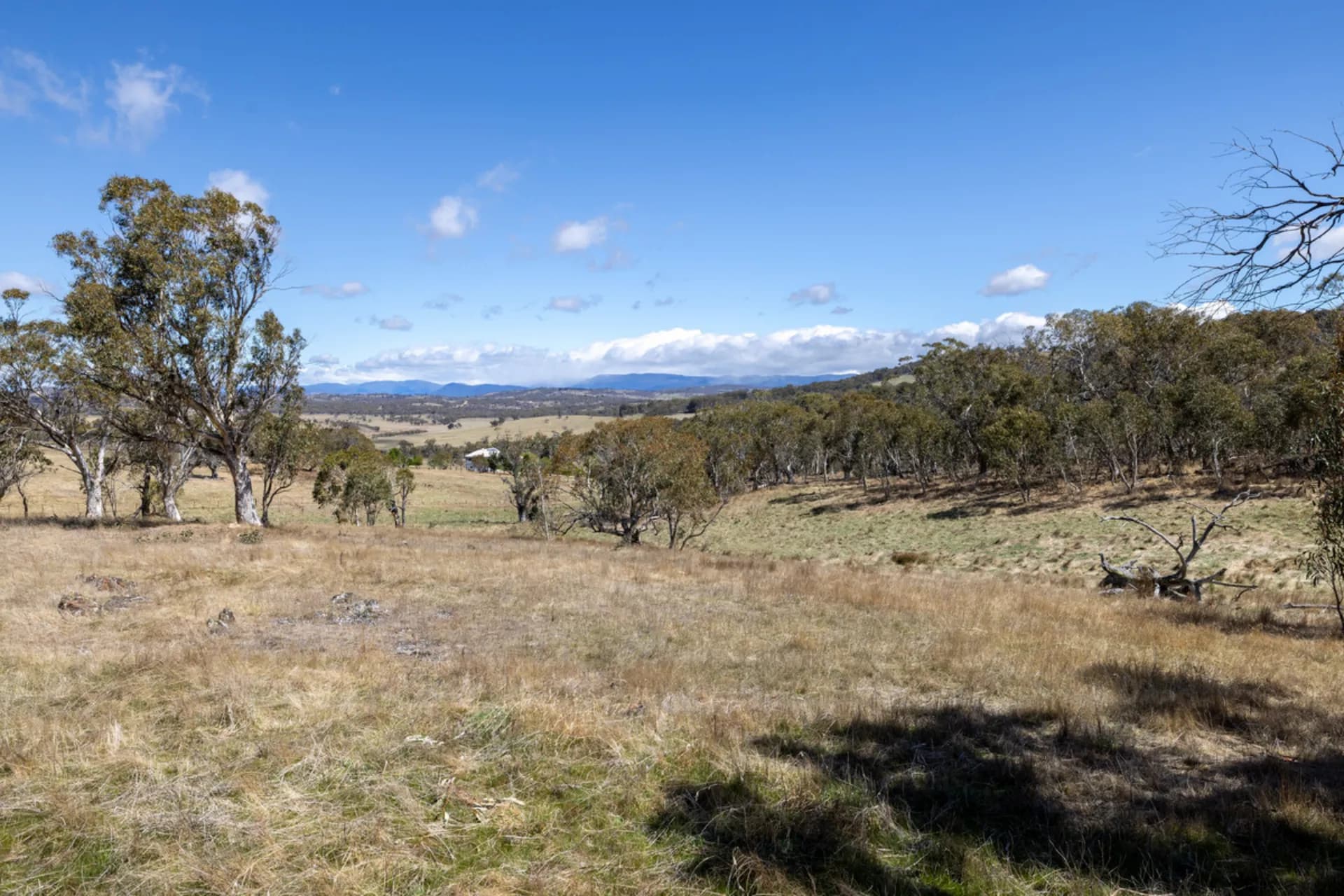 195 Glenrowan Road, Avonside, NSW, Avonside - Thumbnail 3