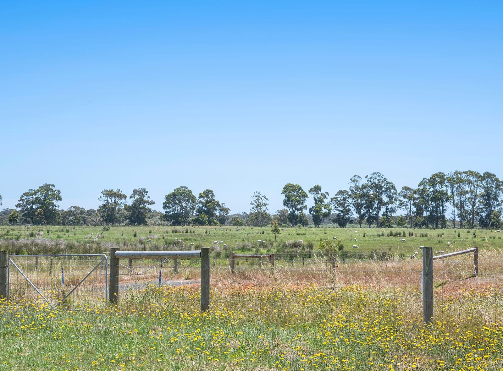 19 Felling Road, Karridale - Thumbnail 8