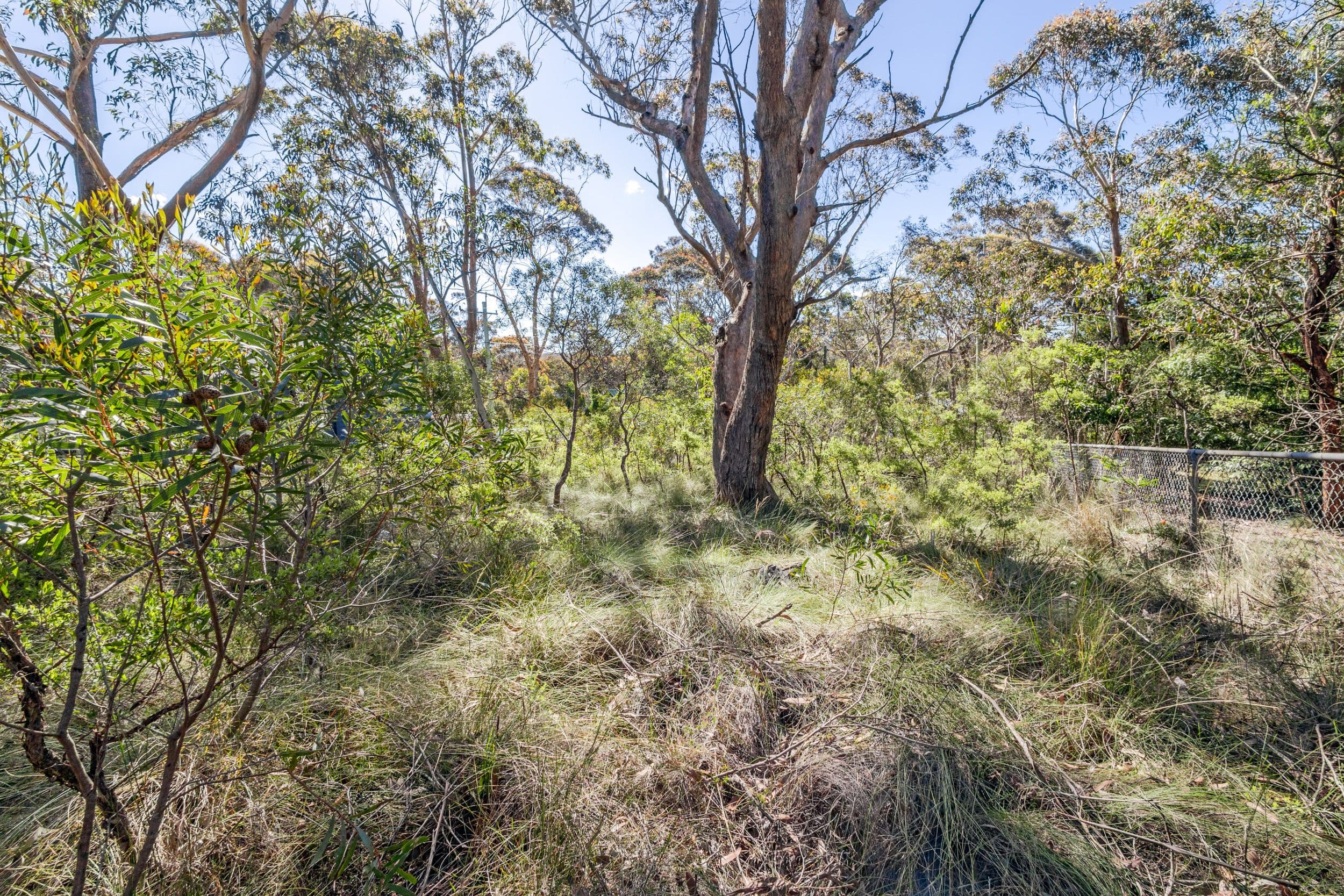 75 Godson Avenue, Blackheath NSW 2785, Blackheath - Thumbnail 6