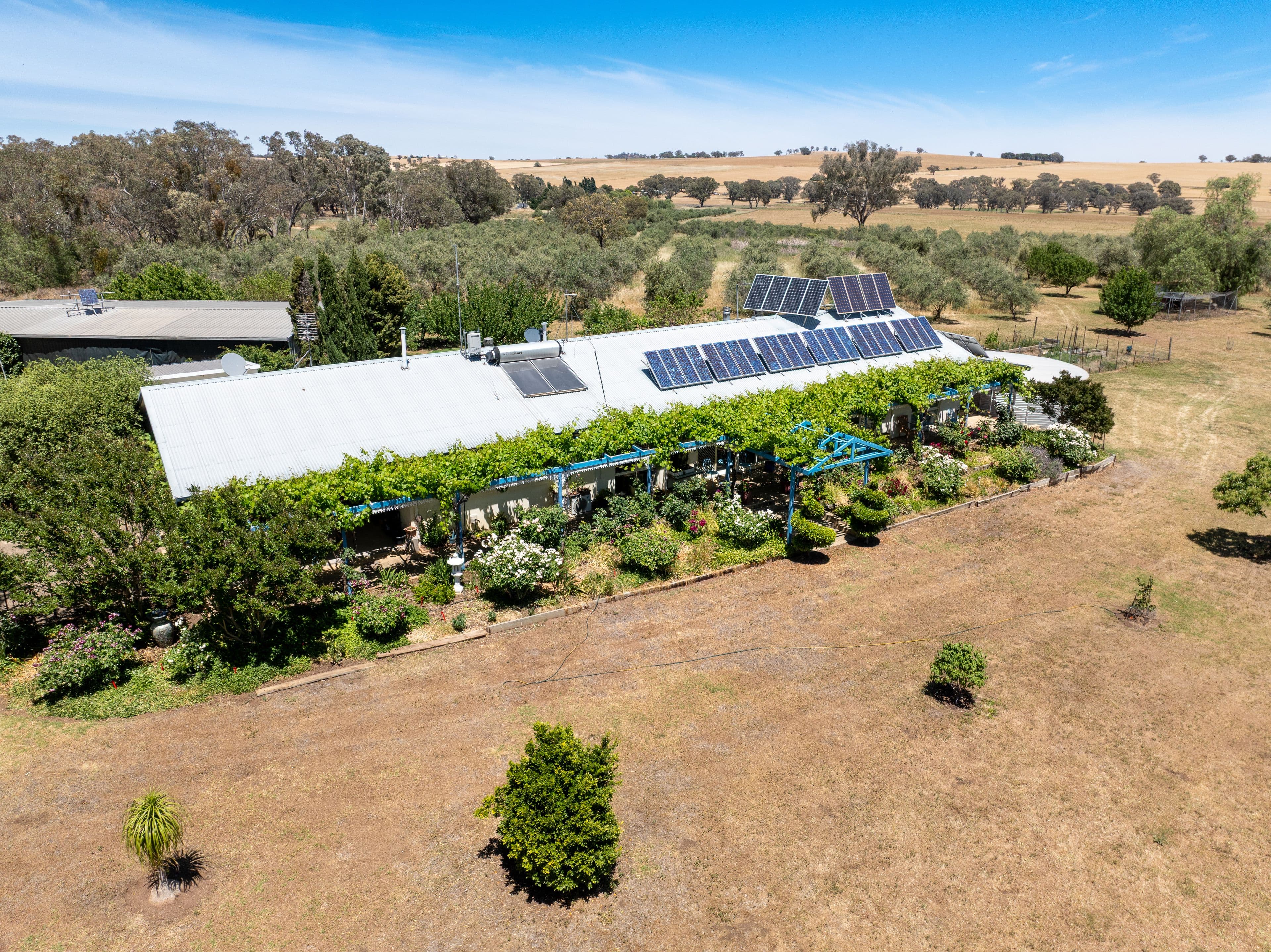 'Cargo Vale' 15 Barragan Road, Cargo NSW 2800, Cargo - Thumbnail 2
