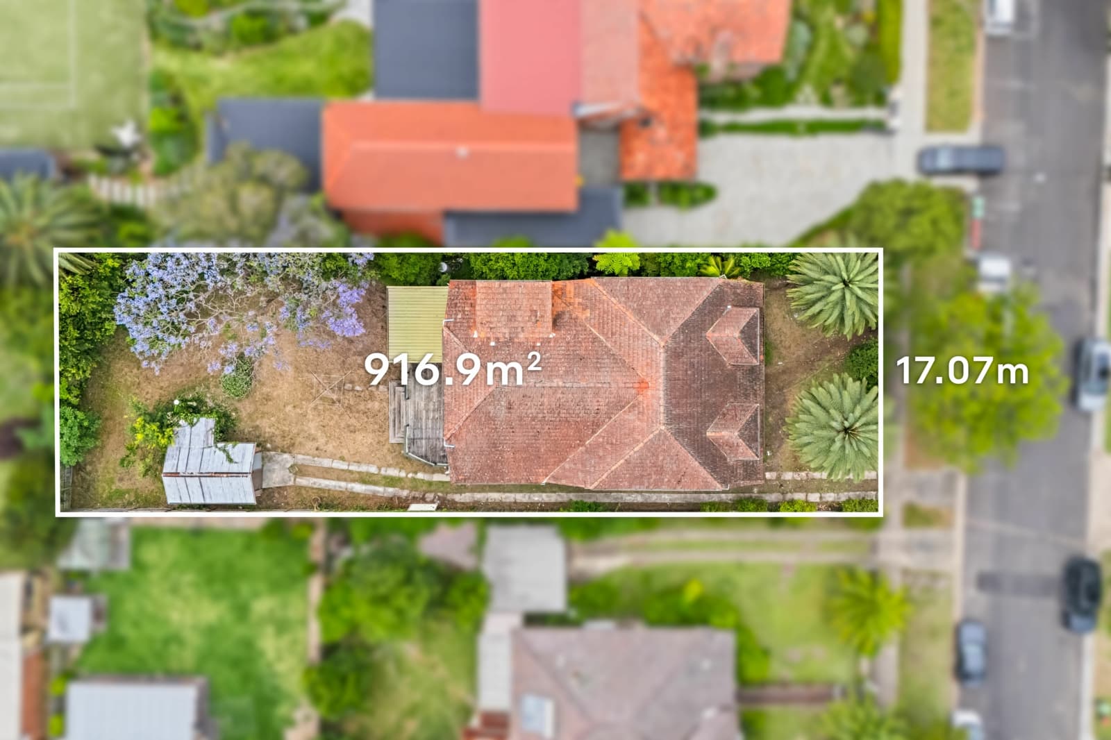 25 Newton Road, Strathfield - Image 1