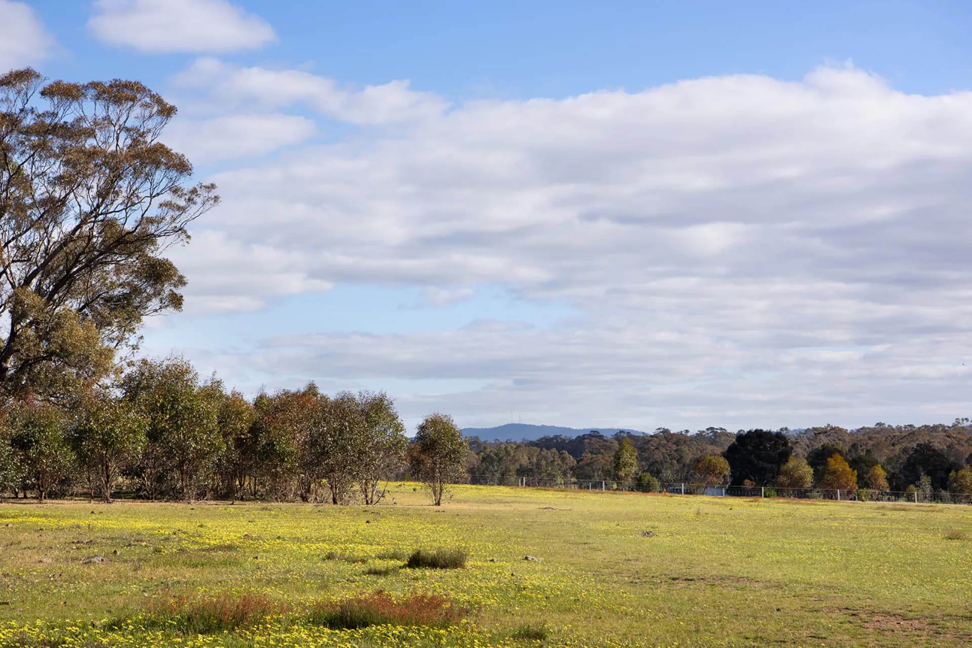 Lot 4,  Axe Creek  Road, Axe Creek, VIC, Axe Creek - Thumbnail 3